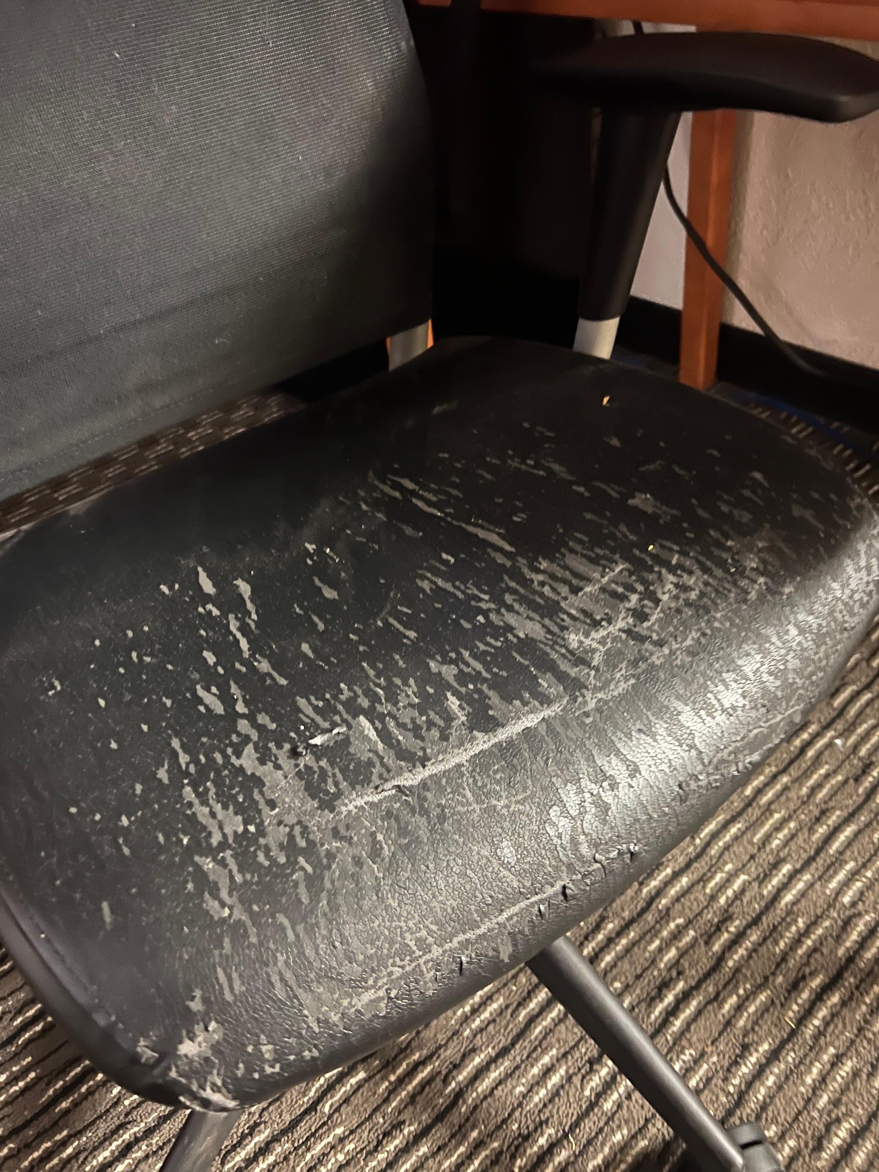 The most scratched chair I’ve ever seen. 