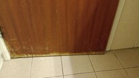 Bathroom door