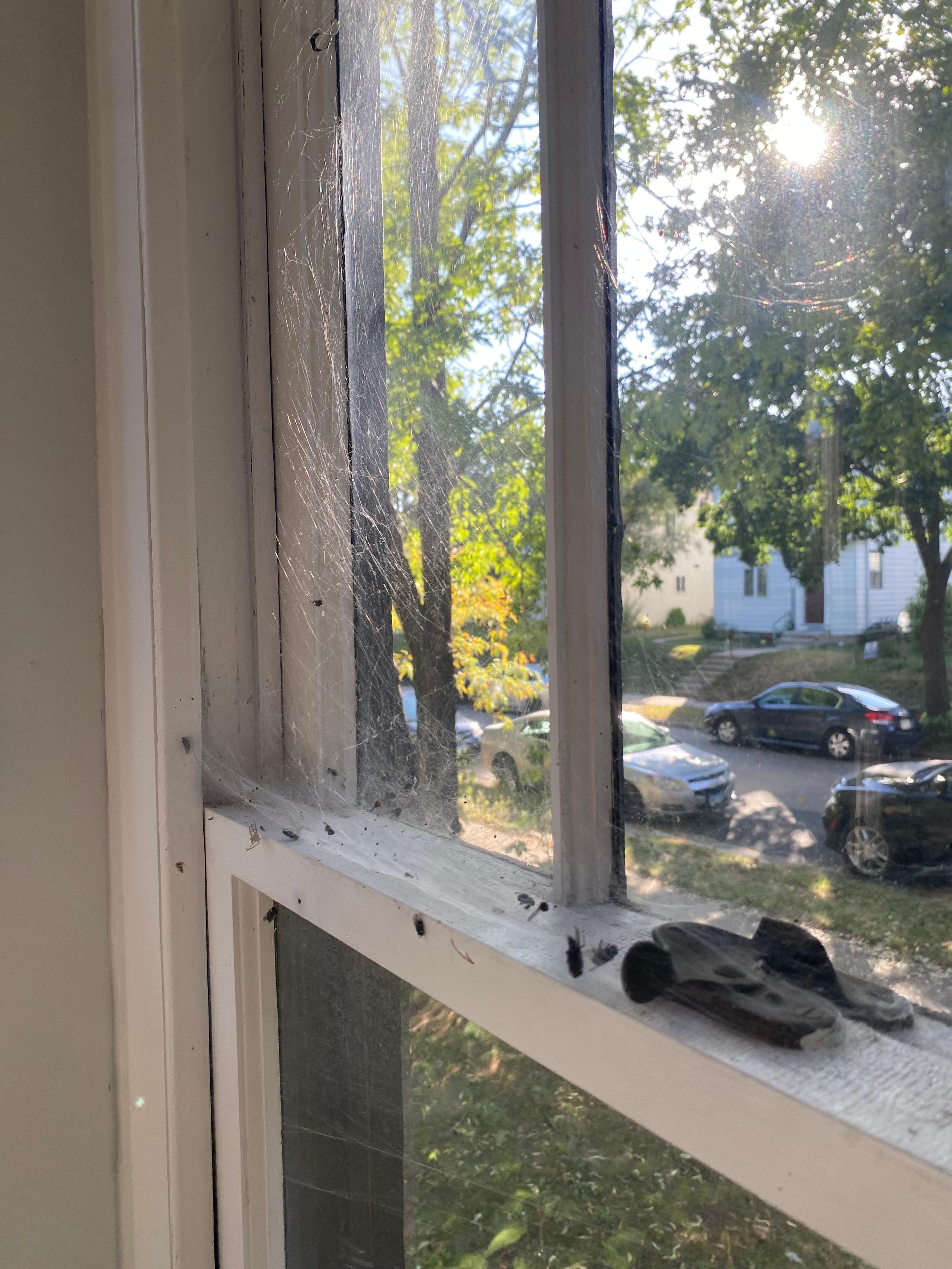 Front porch spiderwebs