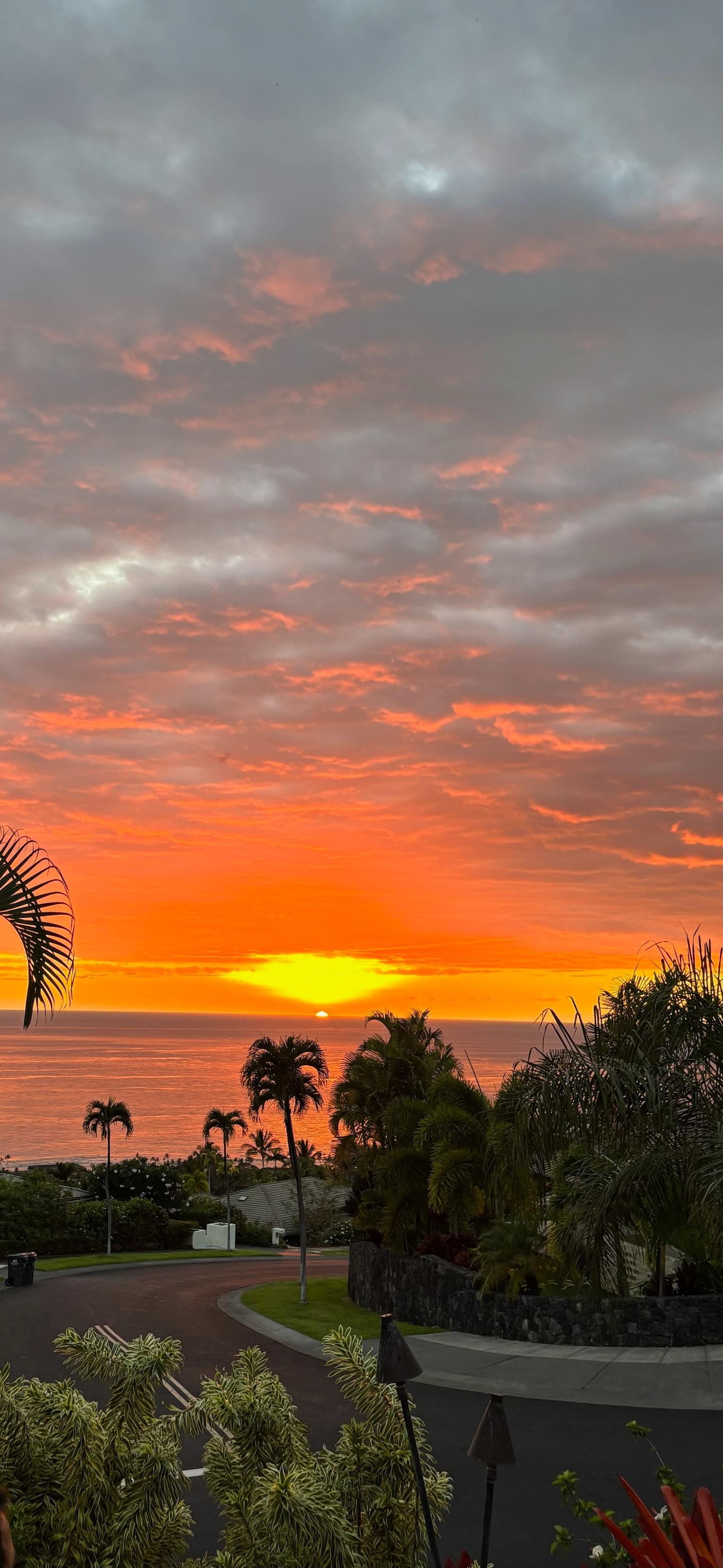 Best sunset picture of the week!