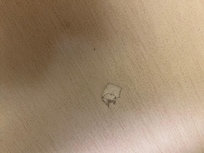 Bathroom floor