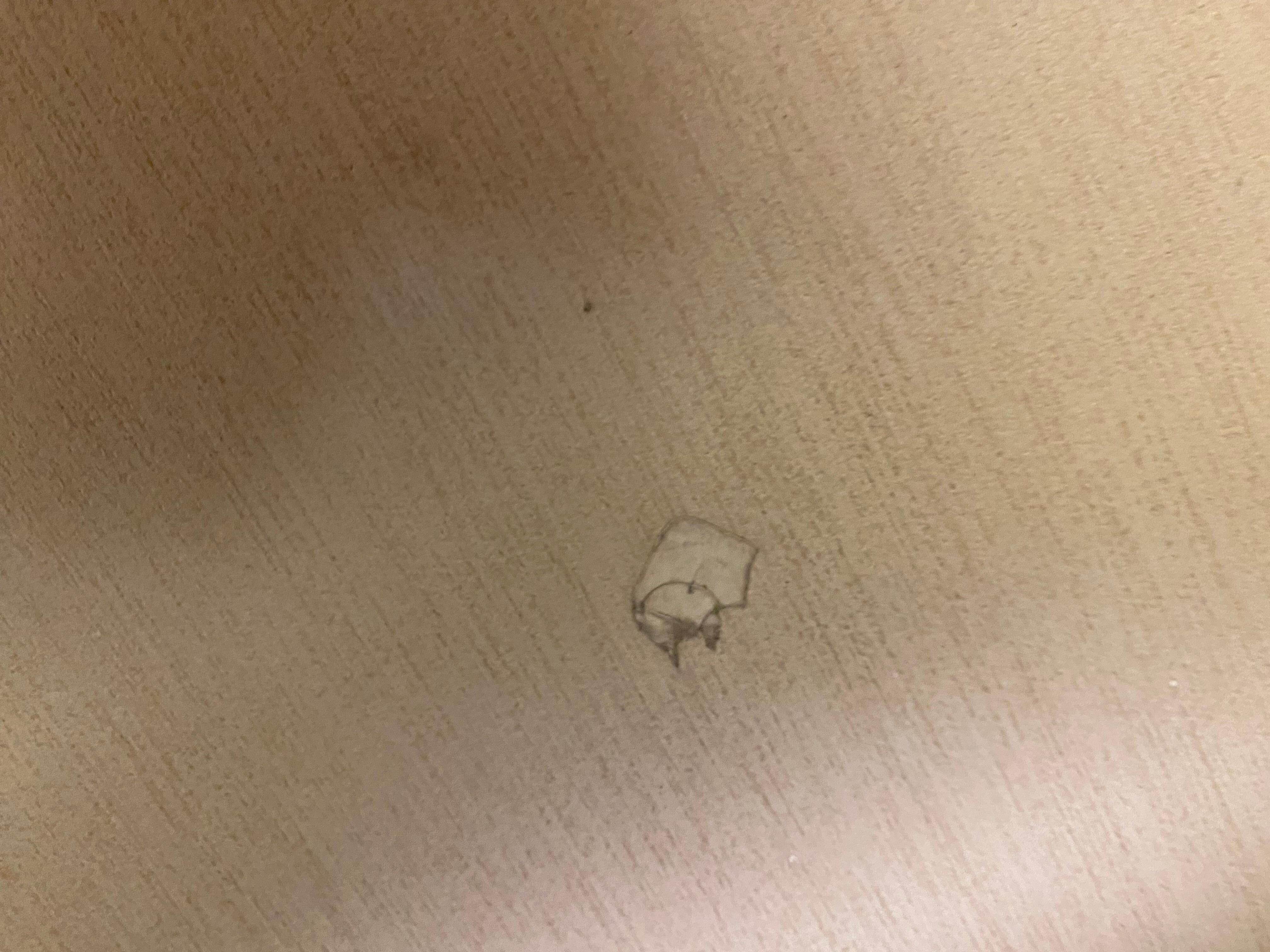 Bathroom floor