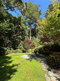 Gorgeous back yard.