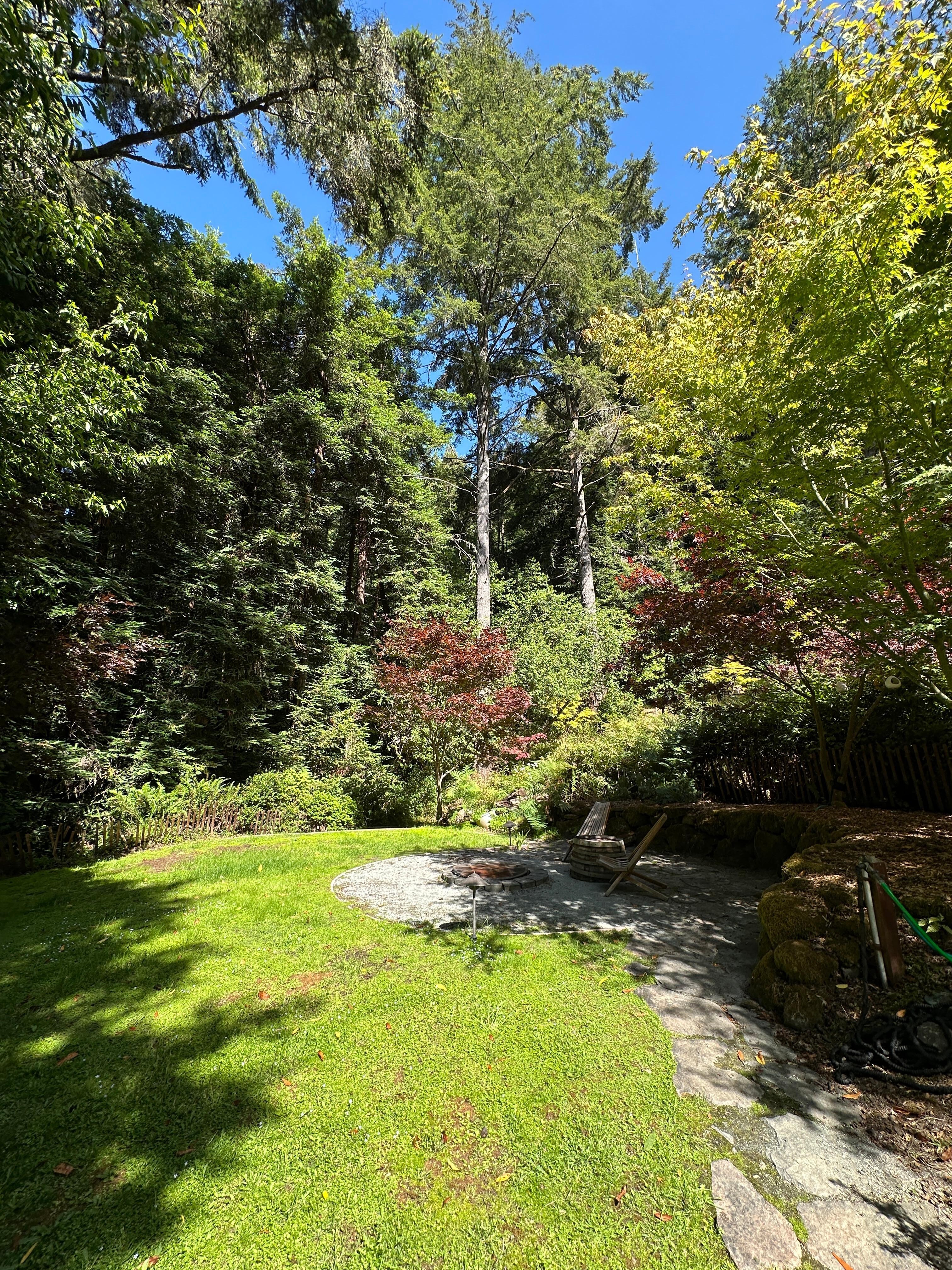 Gorgeous back yard. 