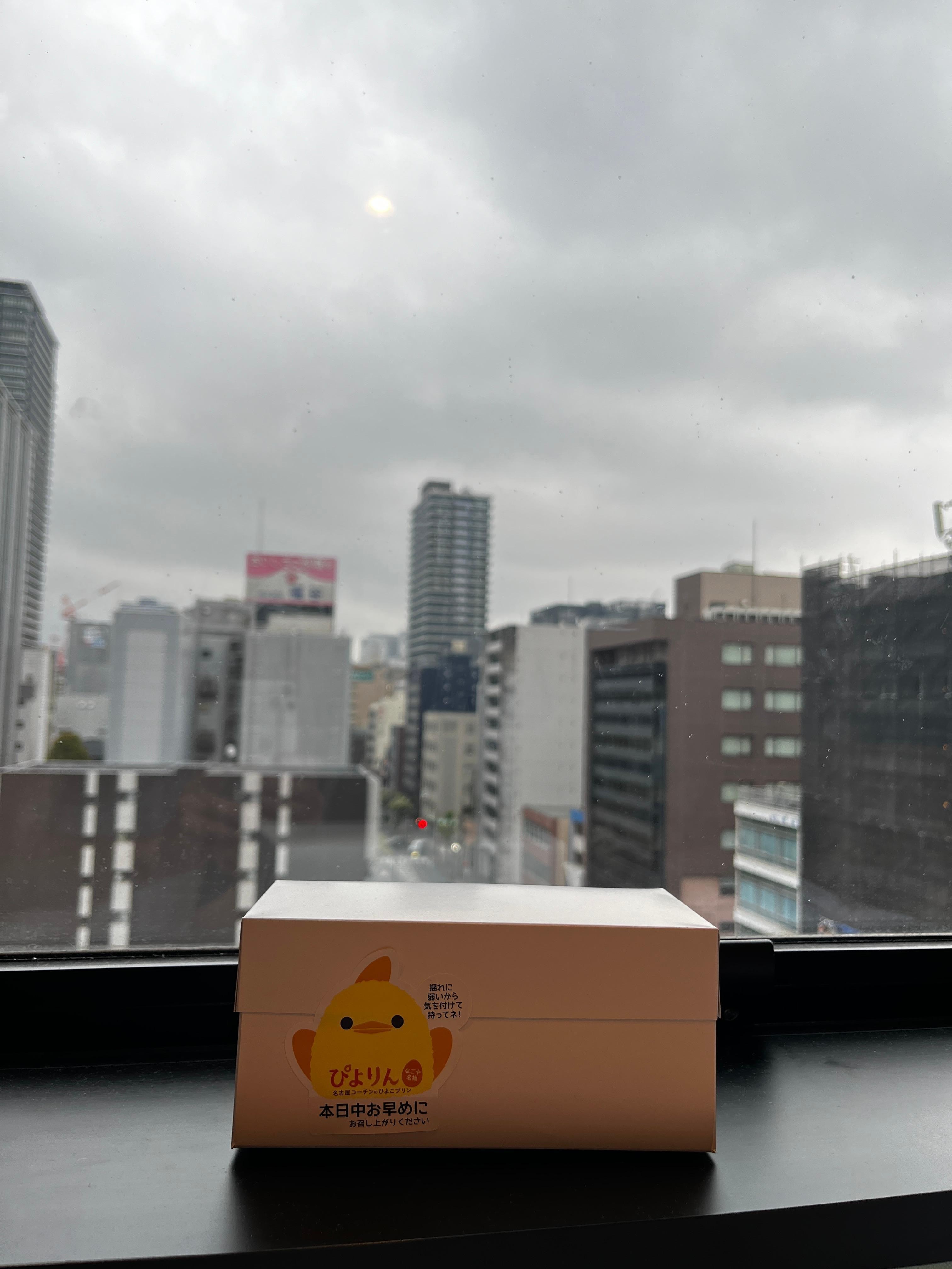 Very pleasant stay! Convinient location, close to 7eleven and Don quijote and 5min walk to subway.