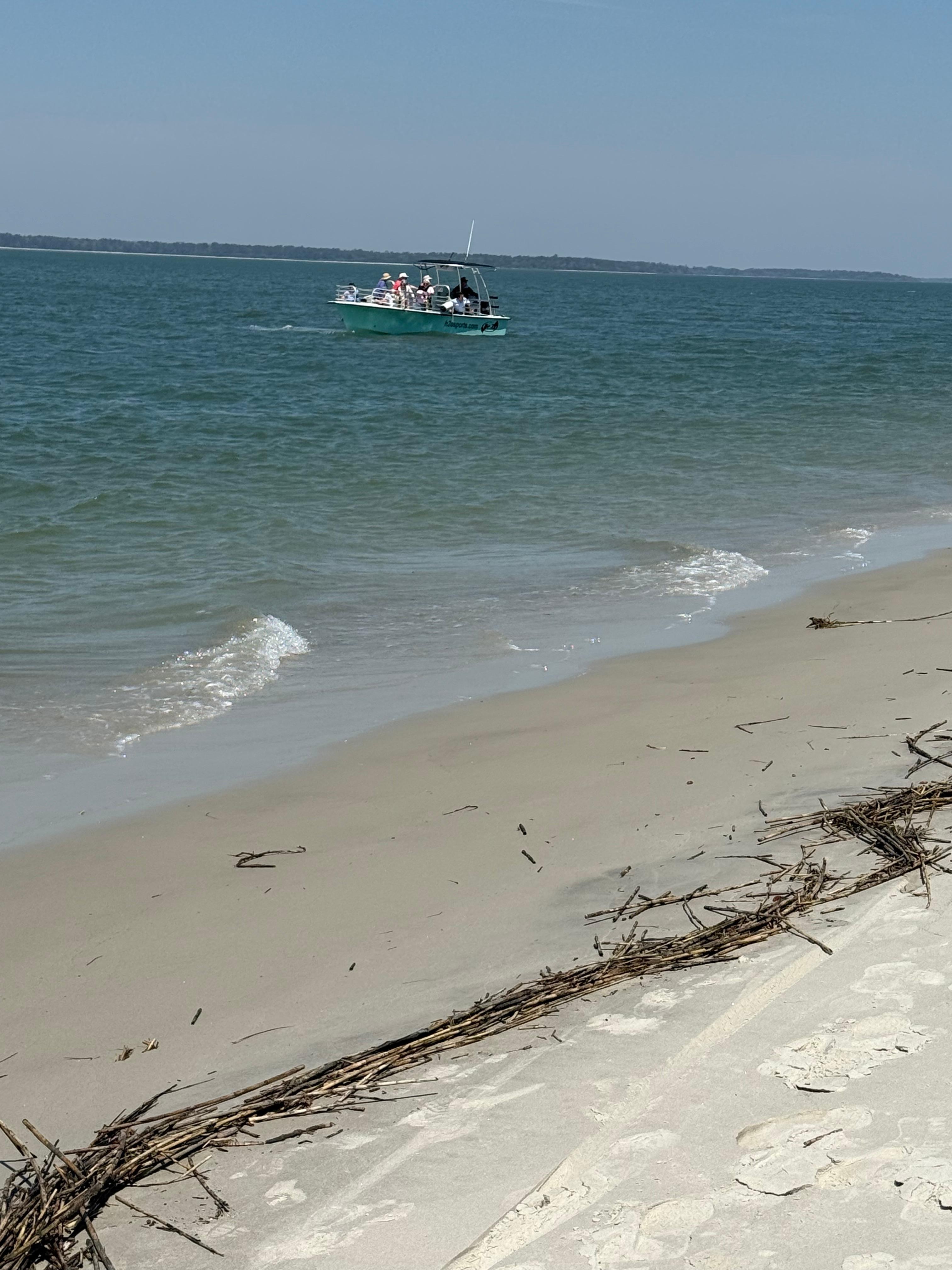 Beautiful beach across the street. We saw dolphins 10 feet from the beach! Beaches were not crowded at all. 