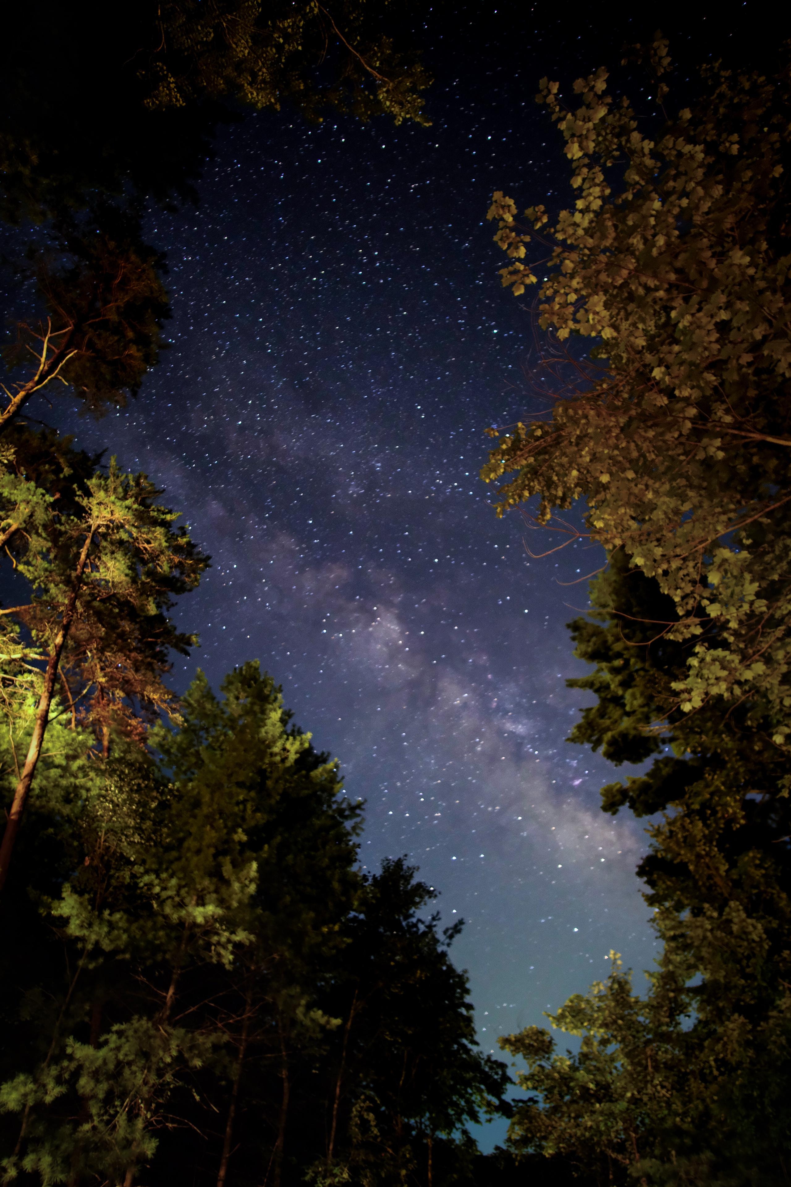 Good times around the fire pit. 