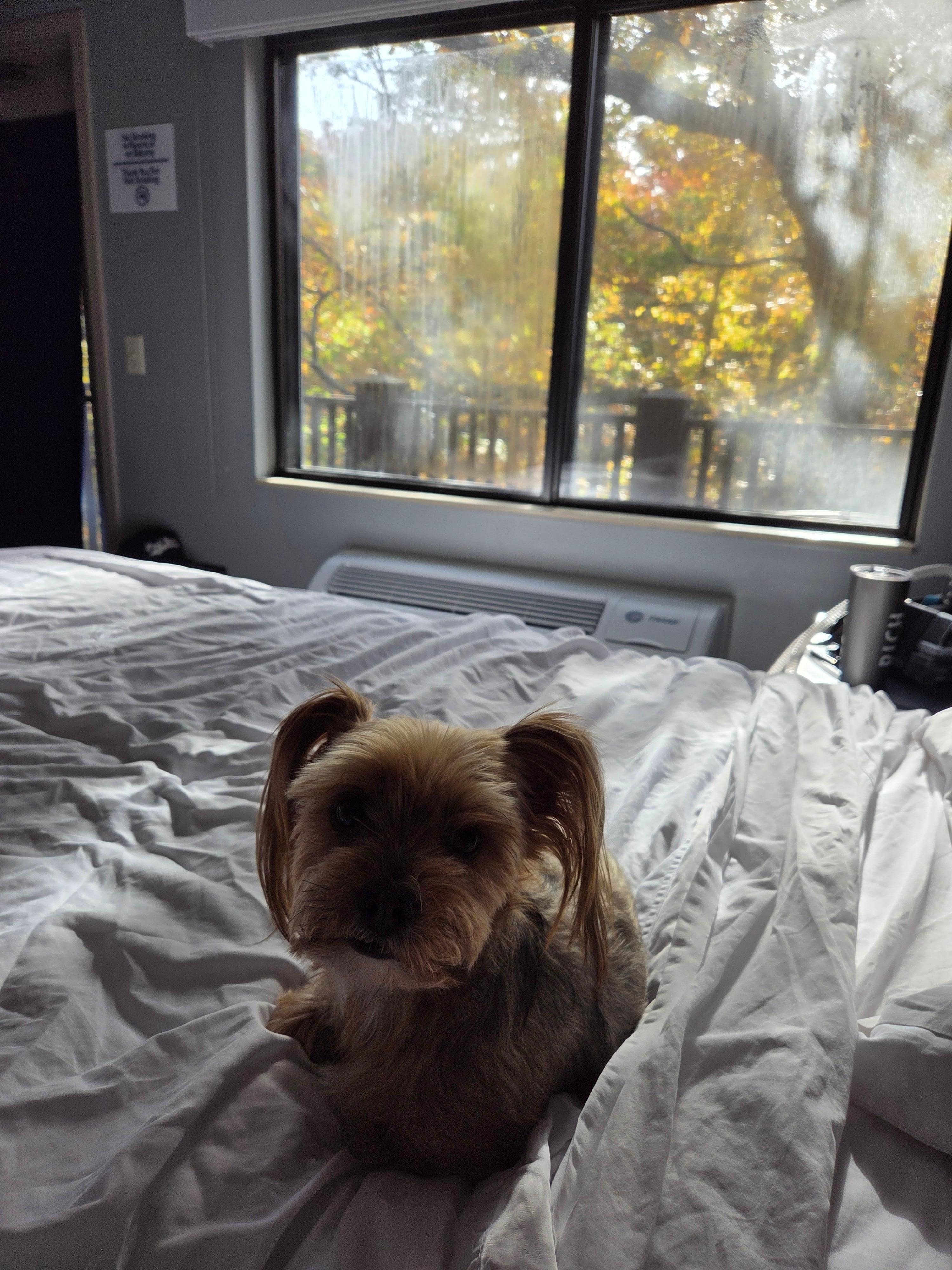 Our Mia loved the spacious bed