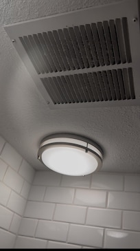 Dust by bathroom vent