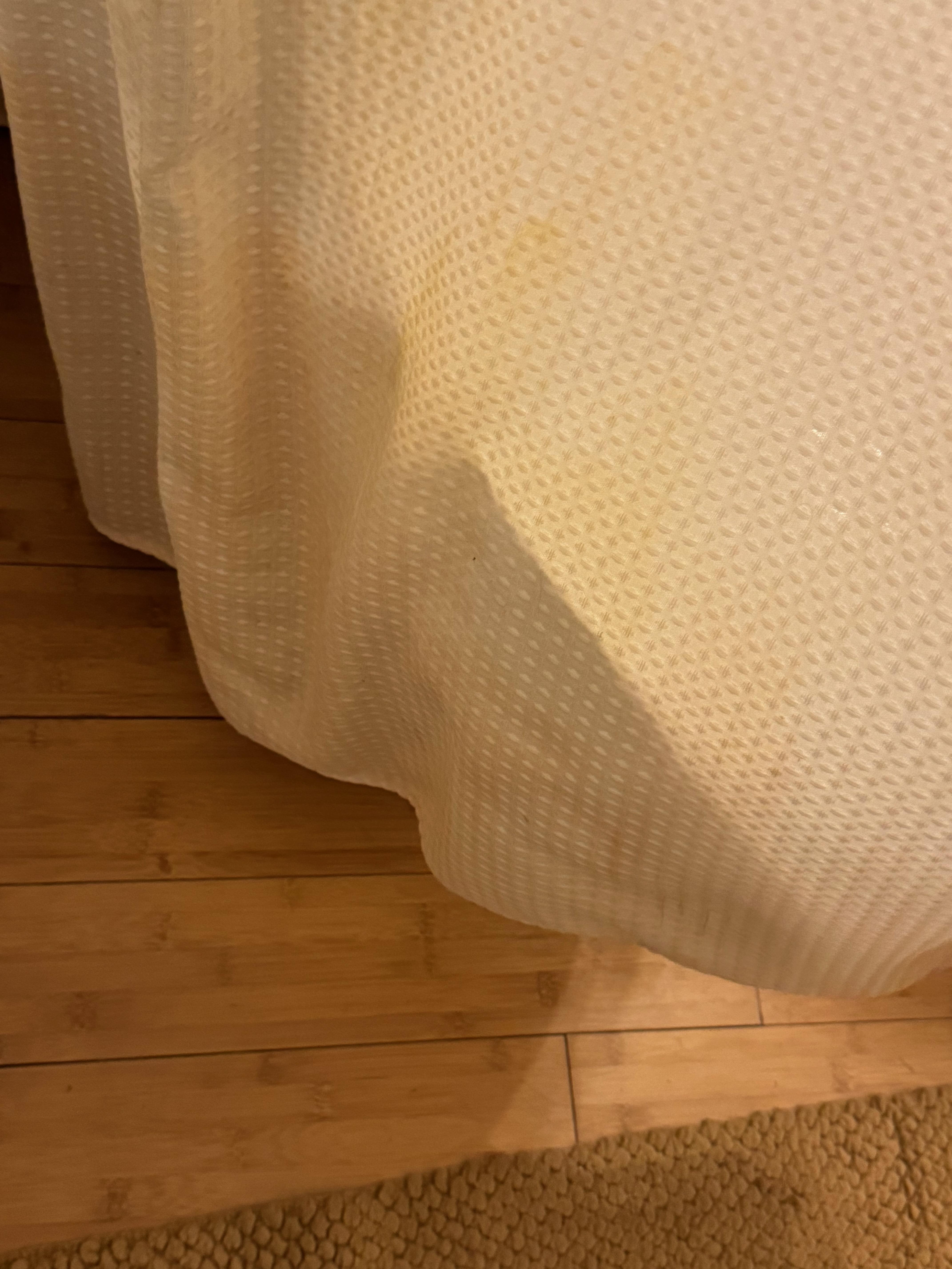 Molded shower curtains