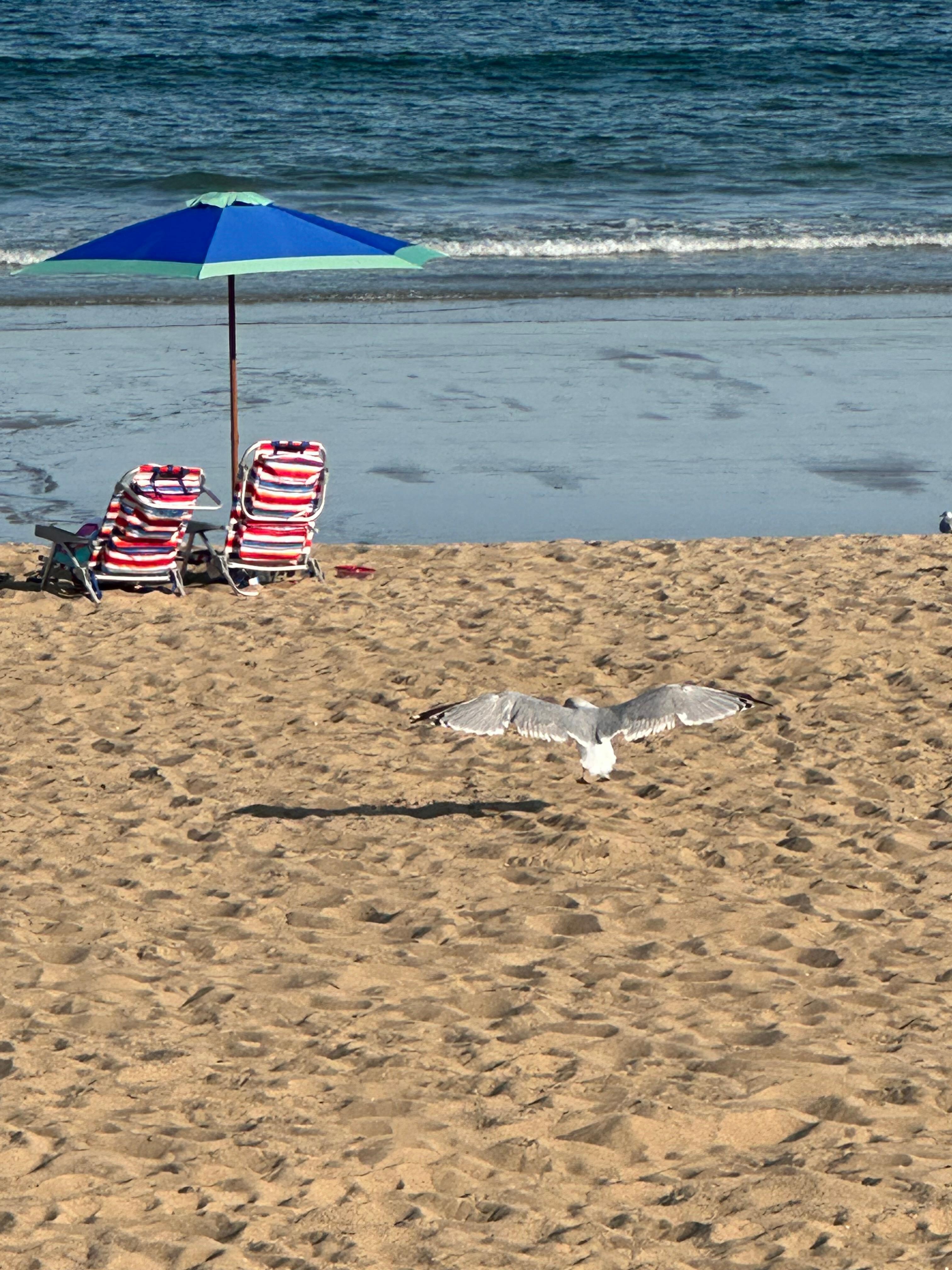 Looking out from the balcony