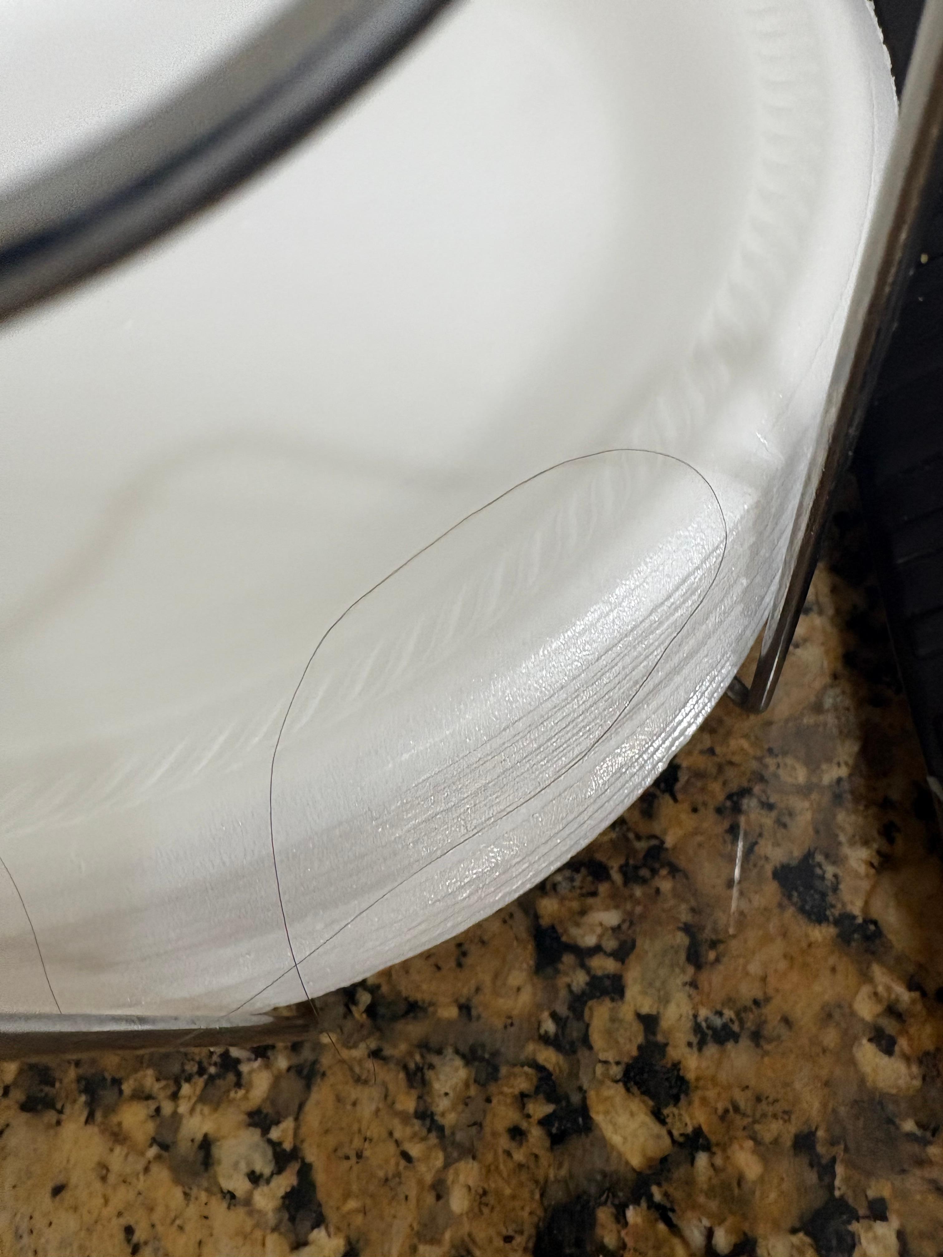 Hair on breakfast plate 