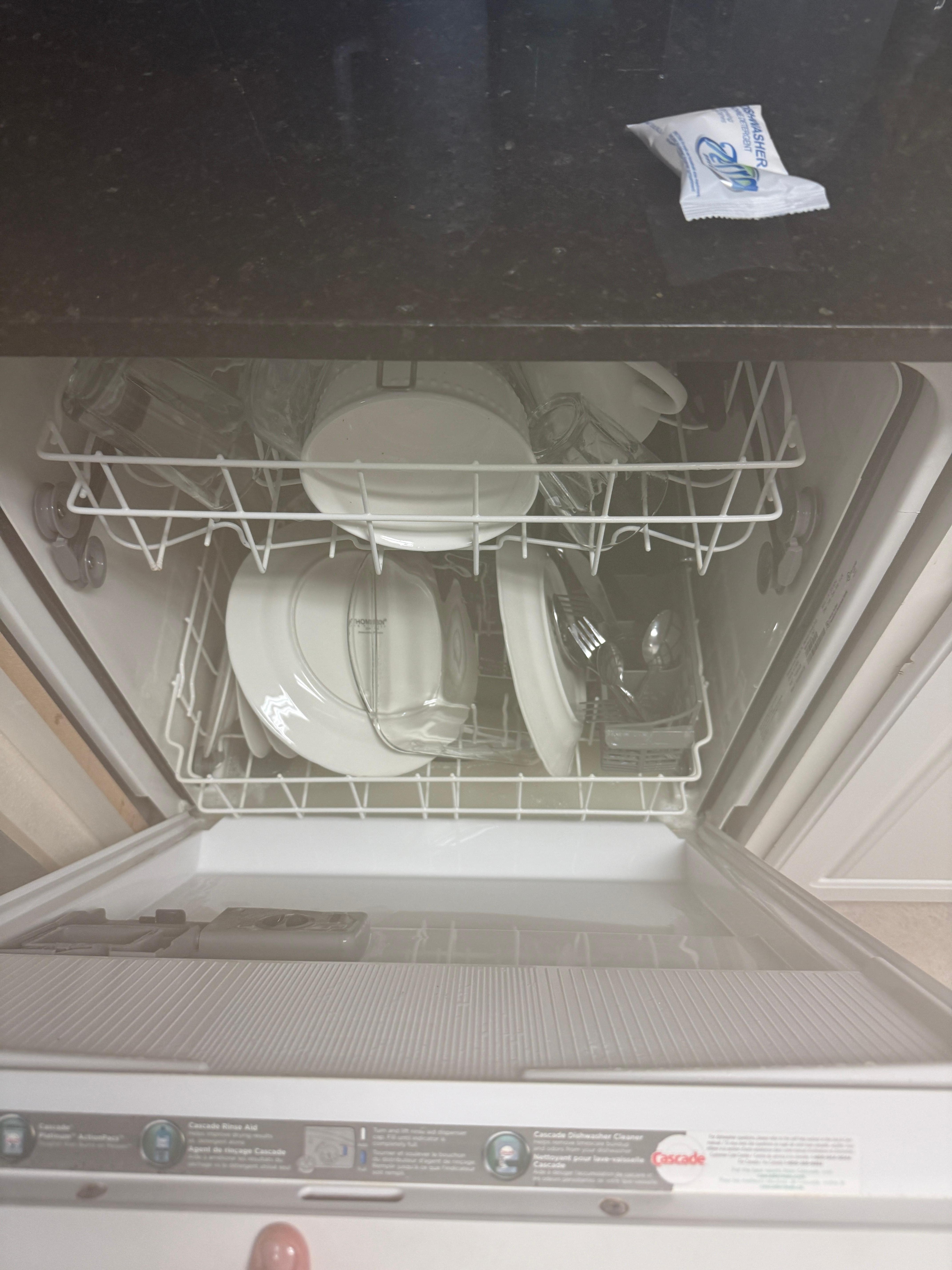Dirty dishes, standing in water, standing in the bottom dishwasher, no telling how long it had been there. The stench was terrible.