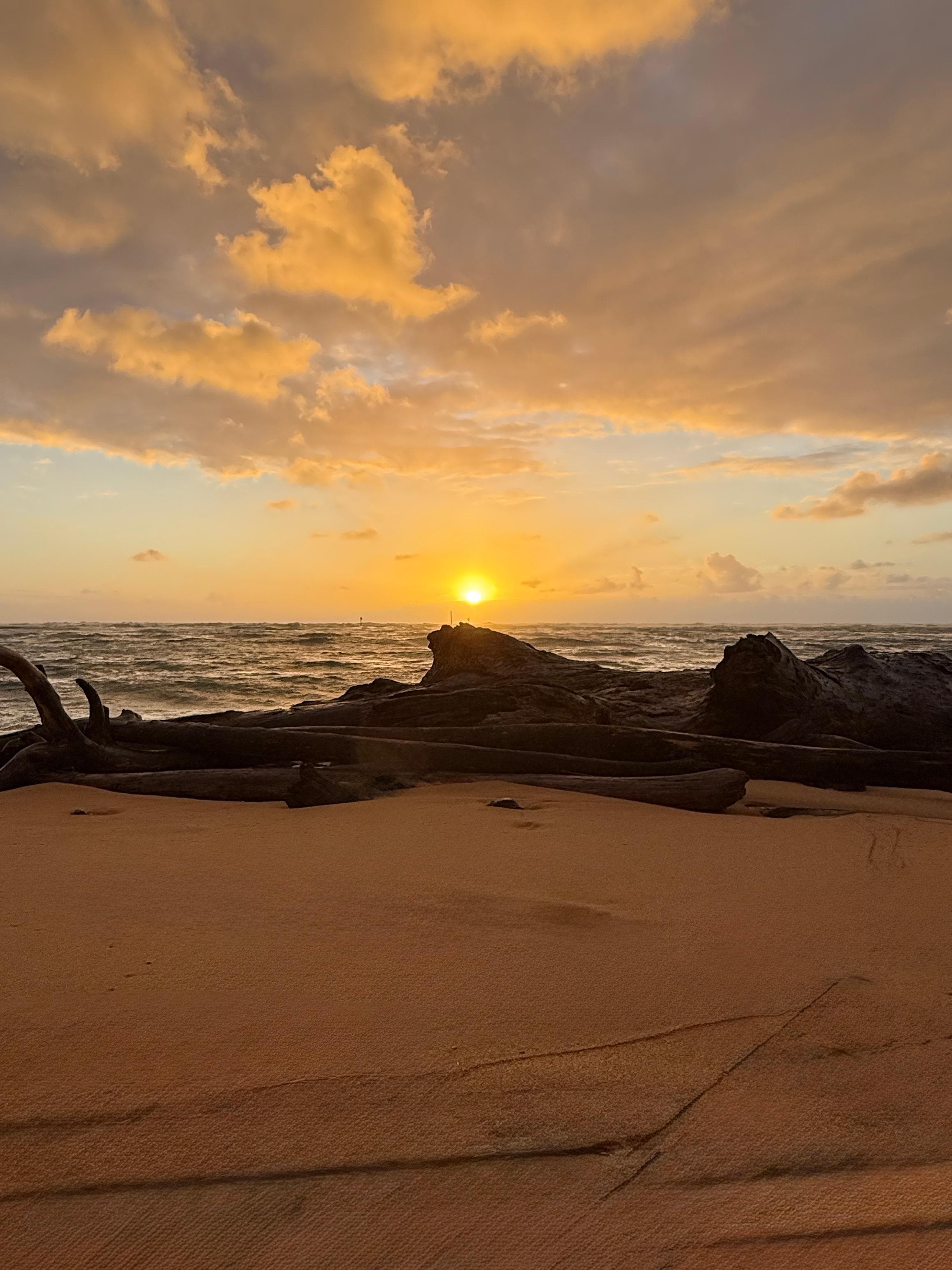 Right on beach views 