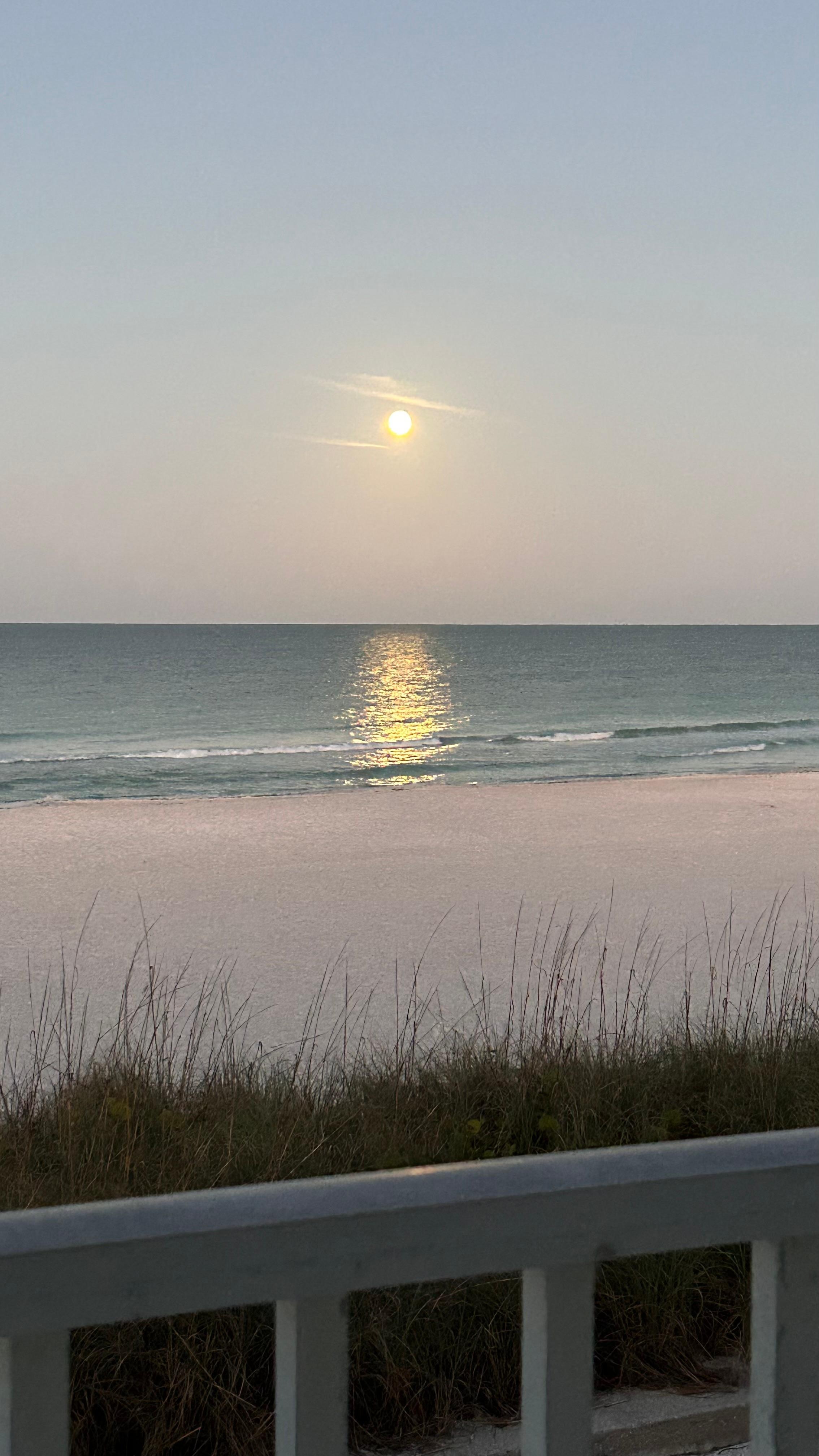 Morning view of the moon