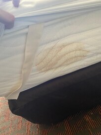 This was one of the bigger things on the mattress