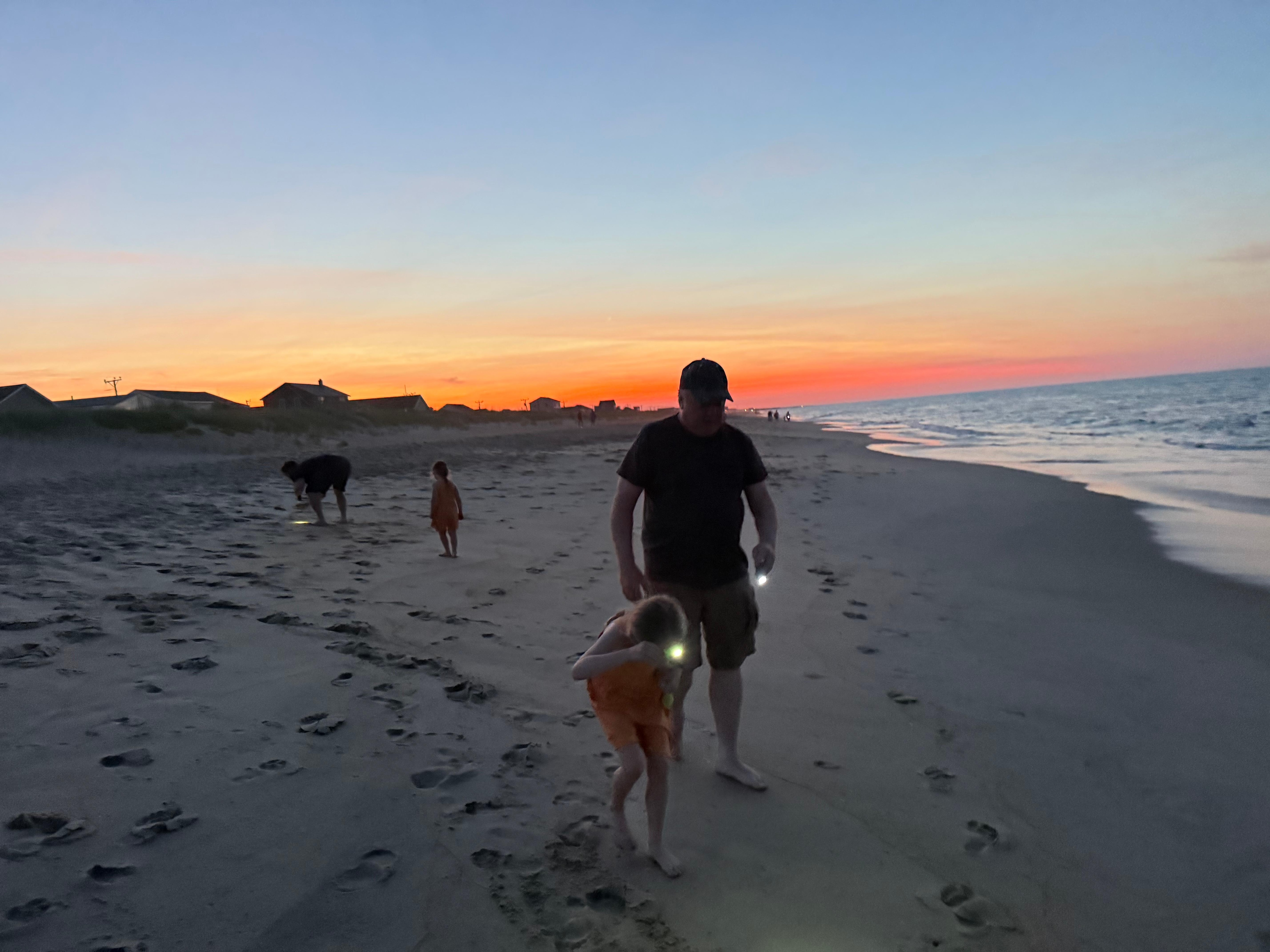 Evening beachcombing