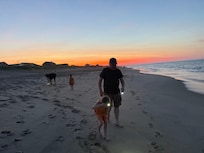 Evening beachcombing