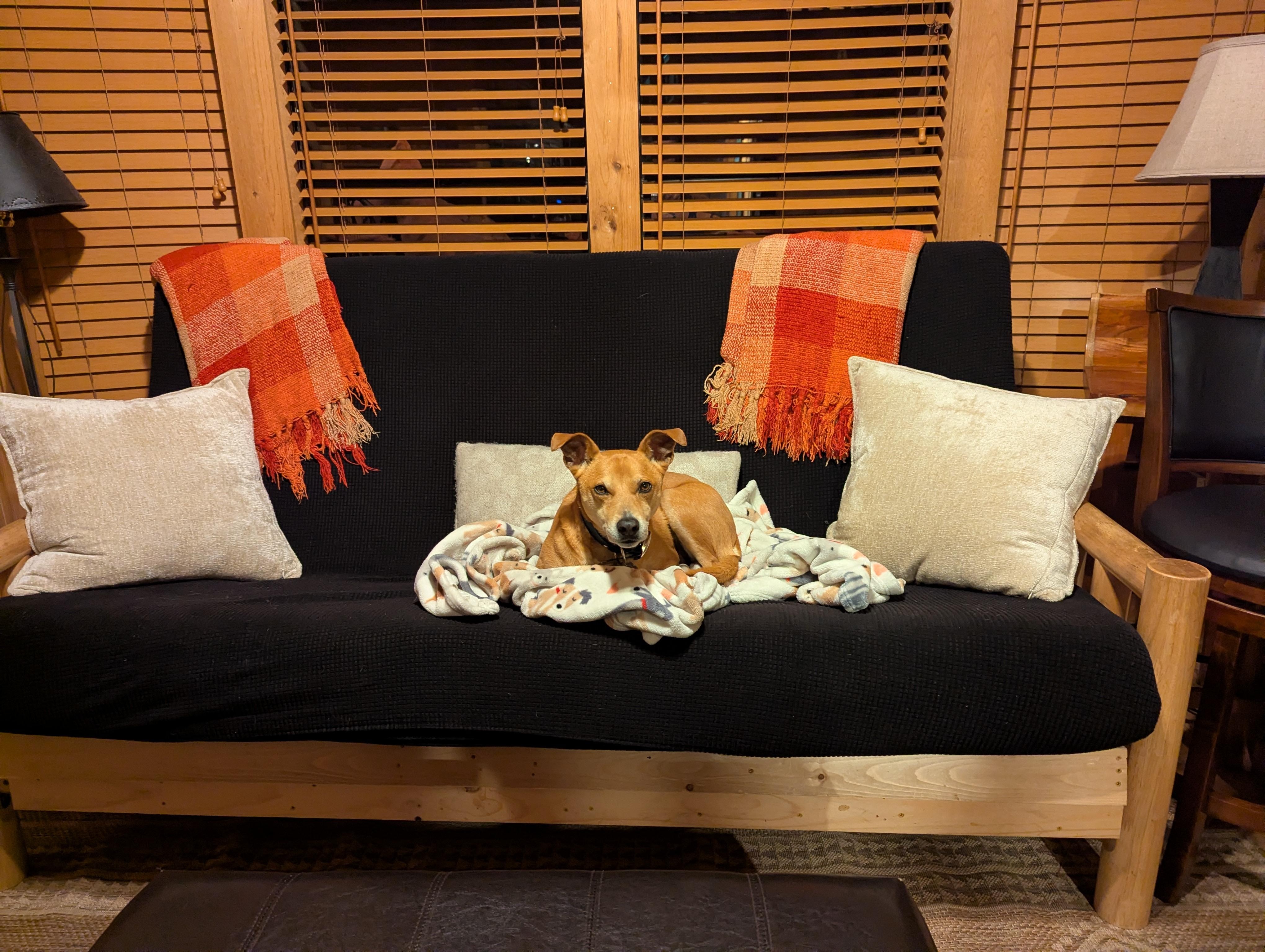 Our dog liked it in Tahoe. :-)