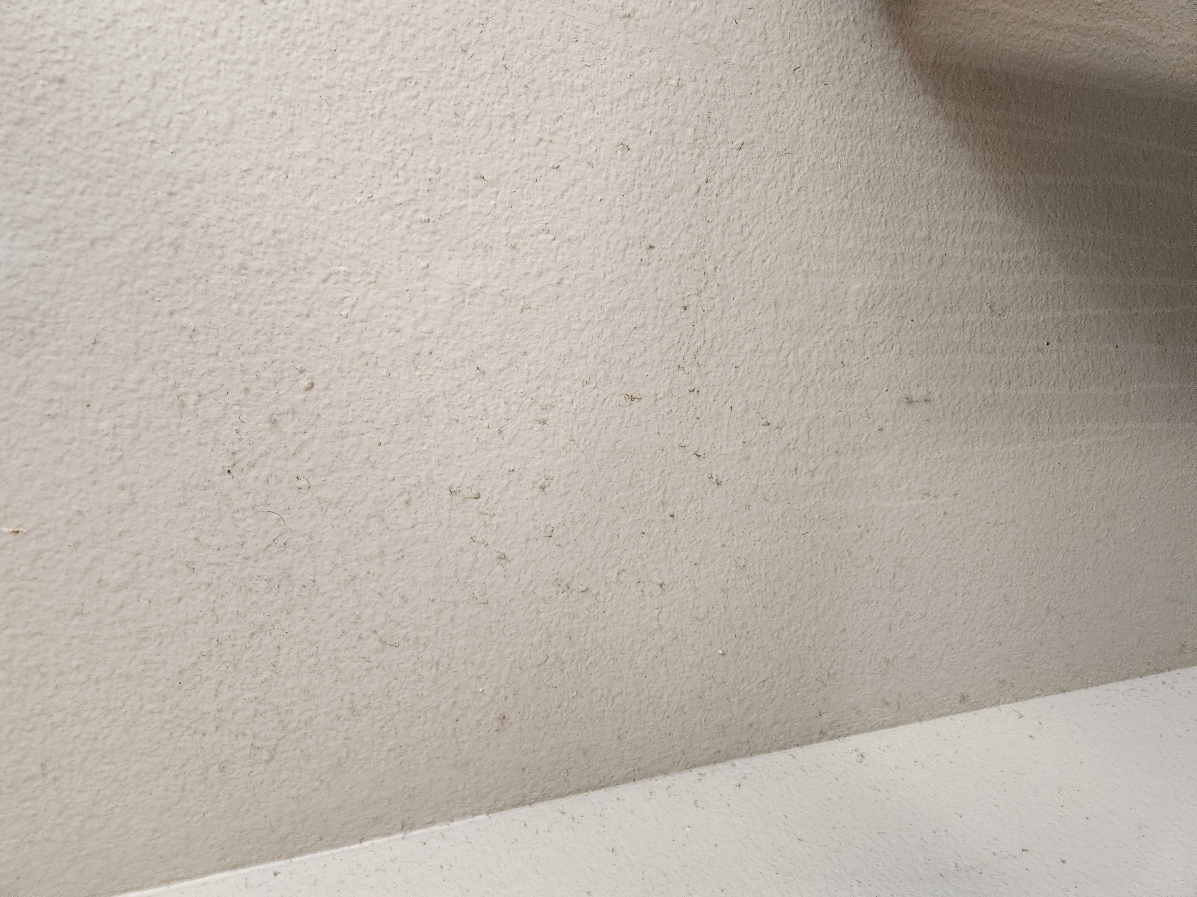 Stains on wall by office table