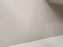 Stains on wall by office table