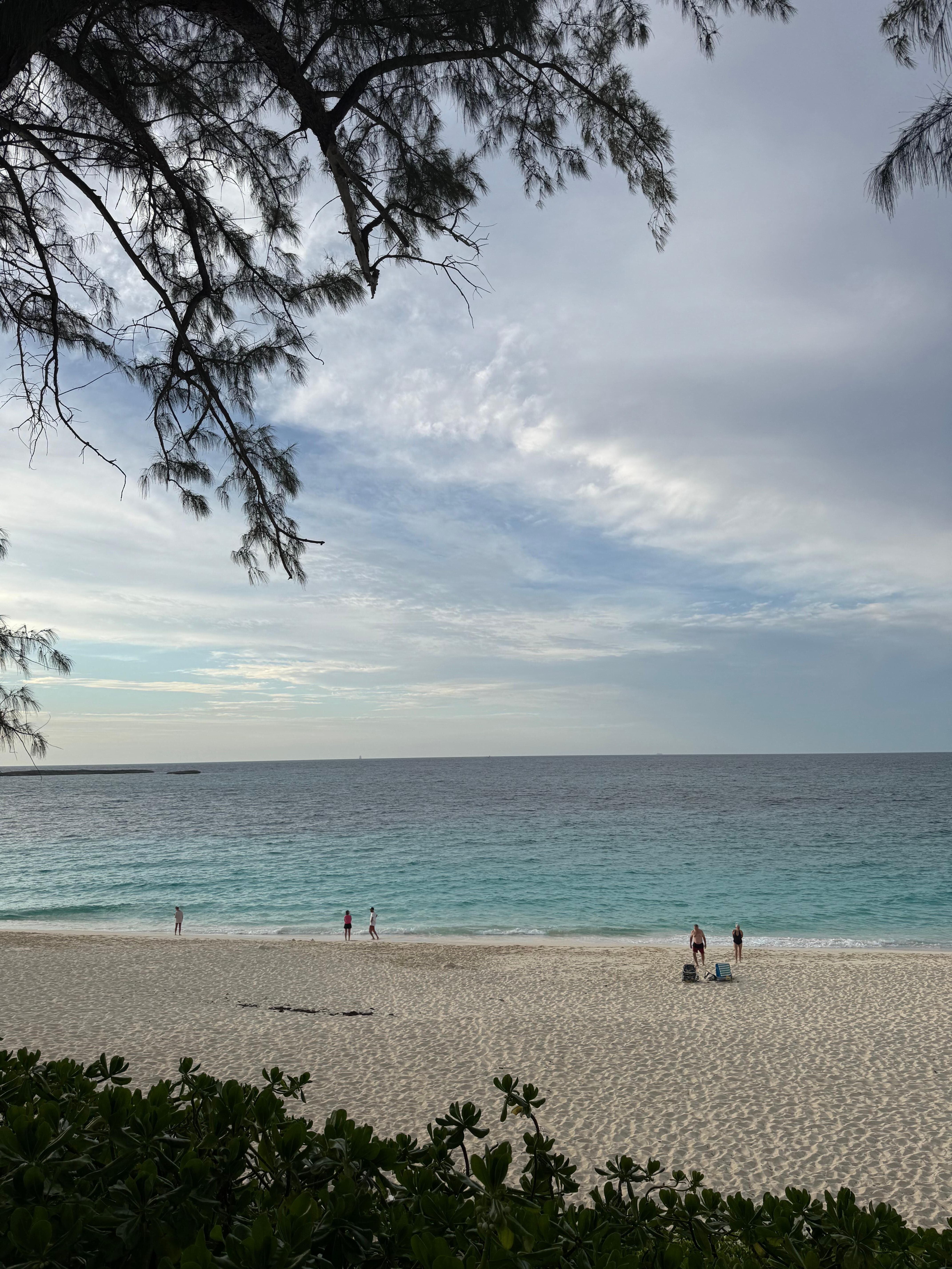 Beautiful view