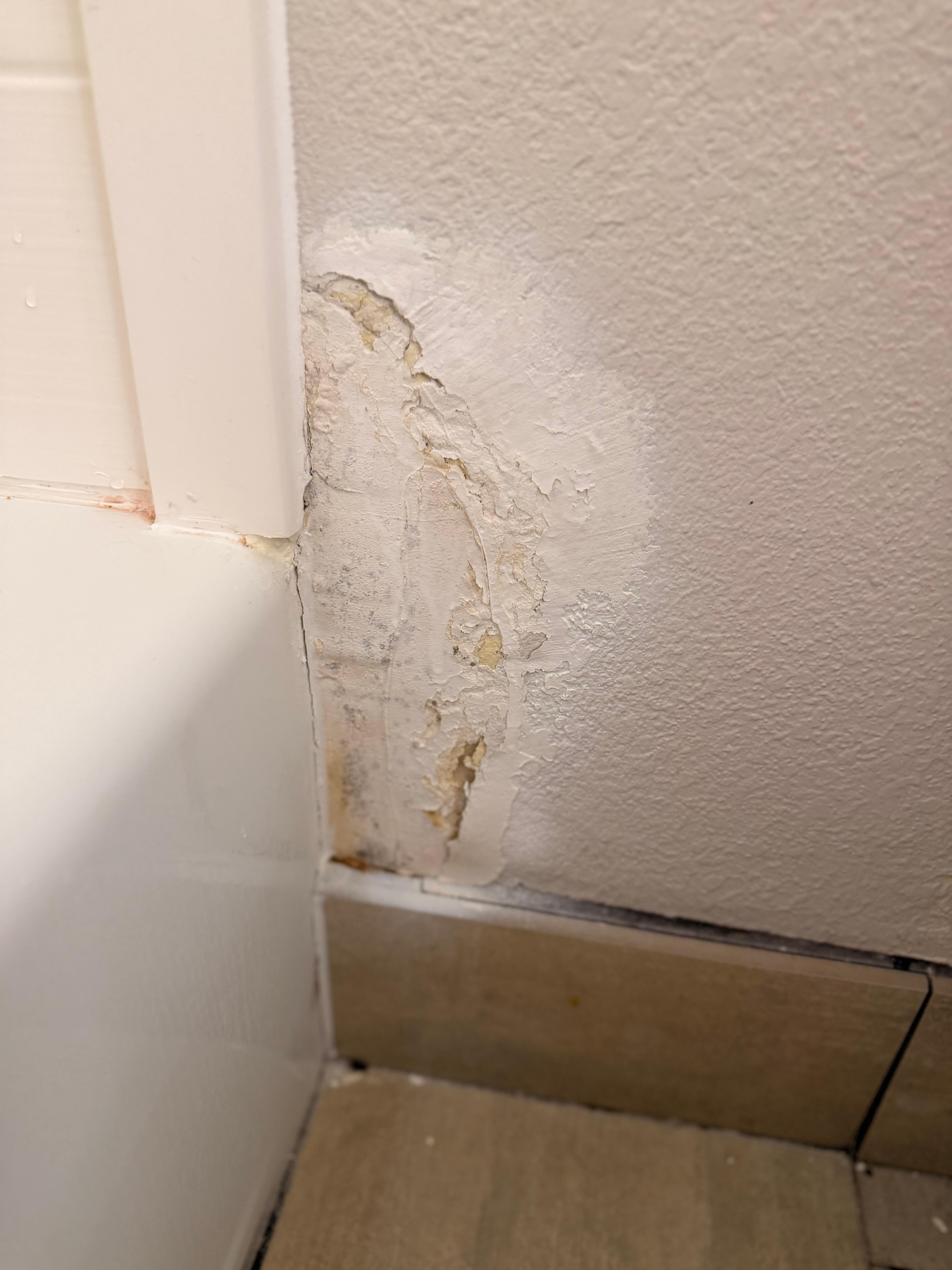 Instead of tearing this Iraq which probably has mold in it. They just spray paint it over it