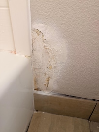 Instead of tearing this Iraq which probably has mold in it. They just spray paint it over it