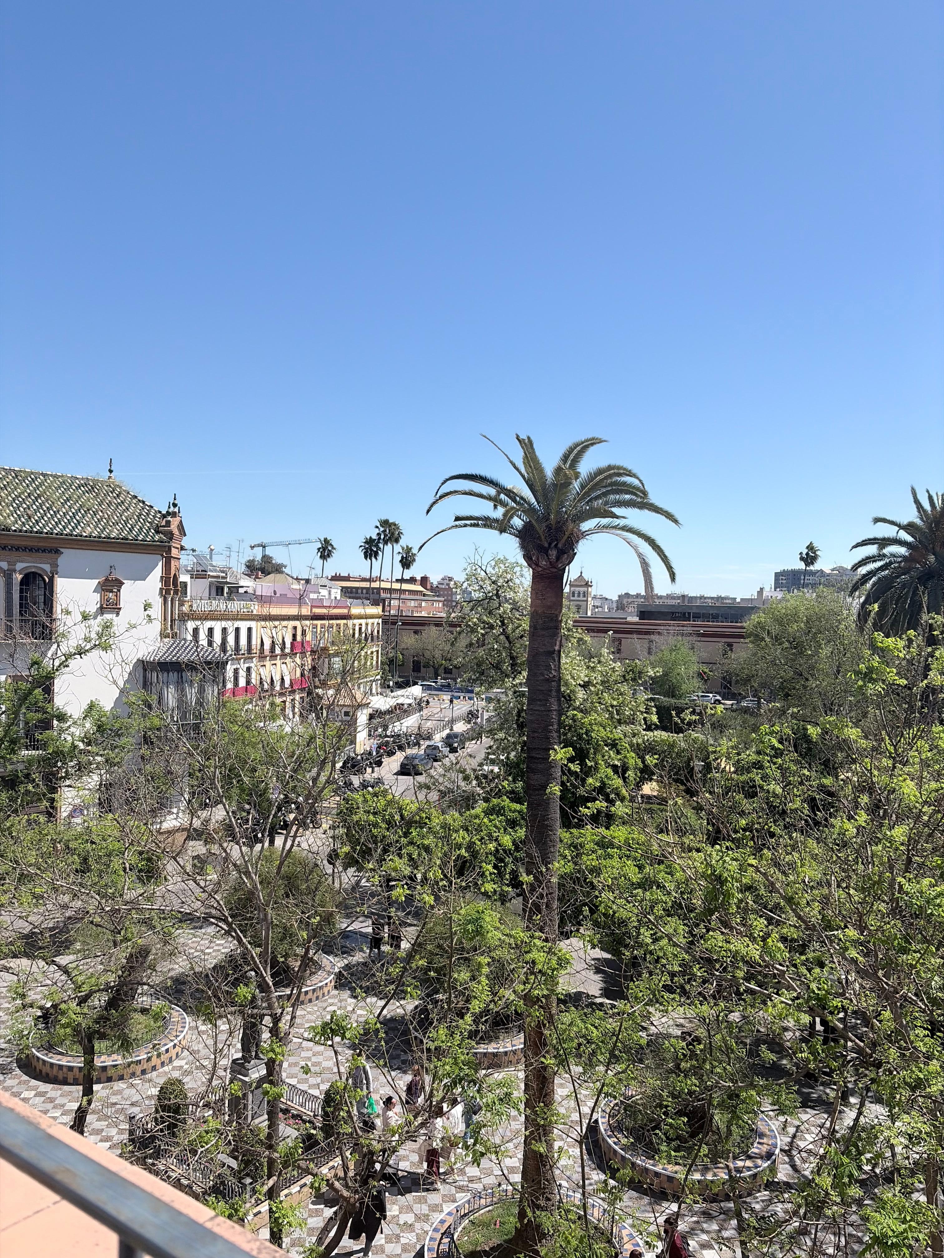 View from the roof terrace