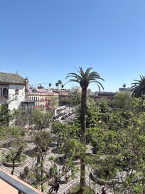 View from the roof terrace