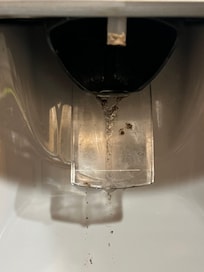 Mold on the water dispenser in kitchen