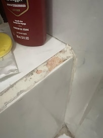 Red mold on shower ledge