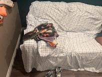 The sheets we used to be able to sleep on the couch