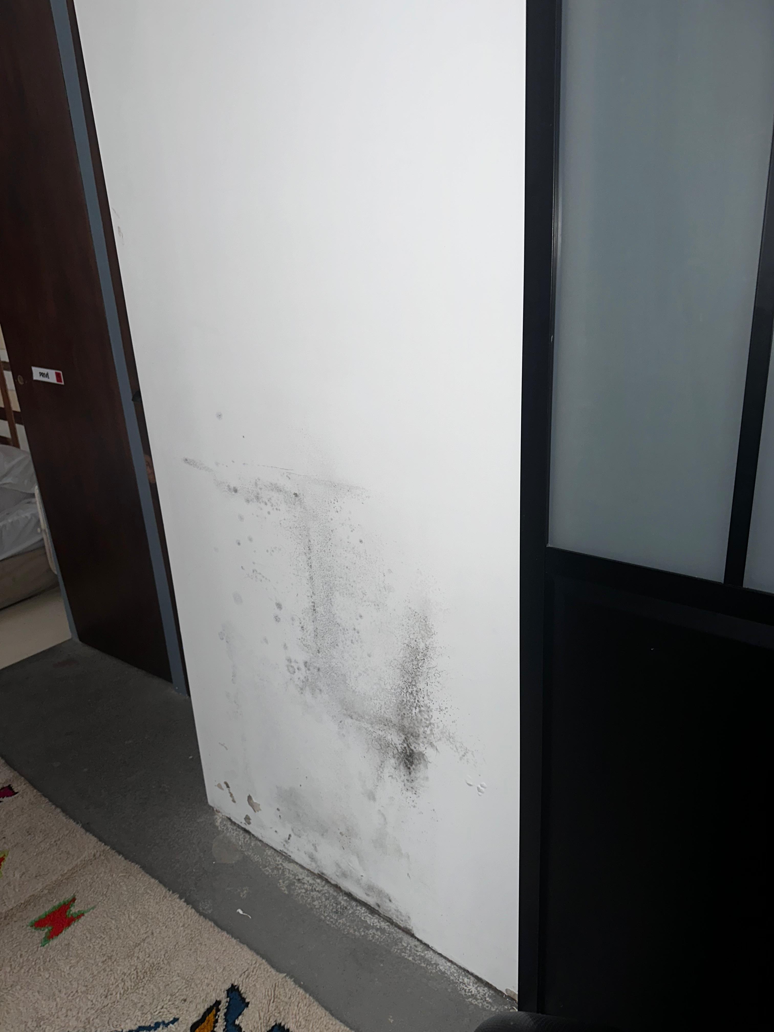 behind bathroom door