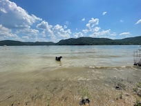 Our Rottweiler Rocky living his best life by playing in the lake at Cave Run’s beaches.