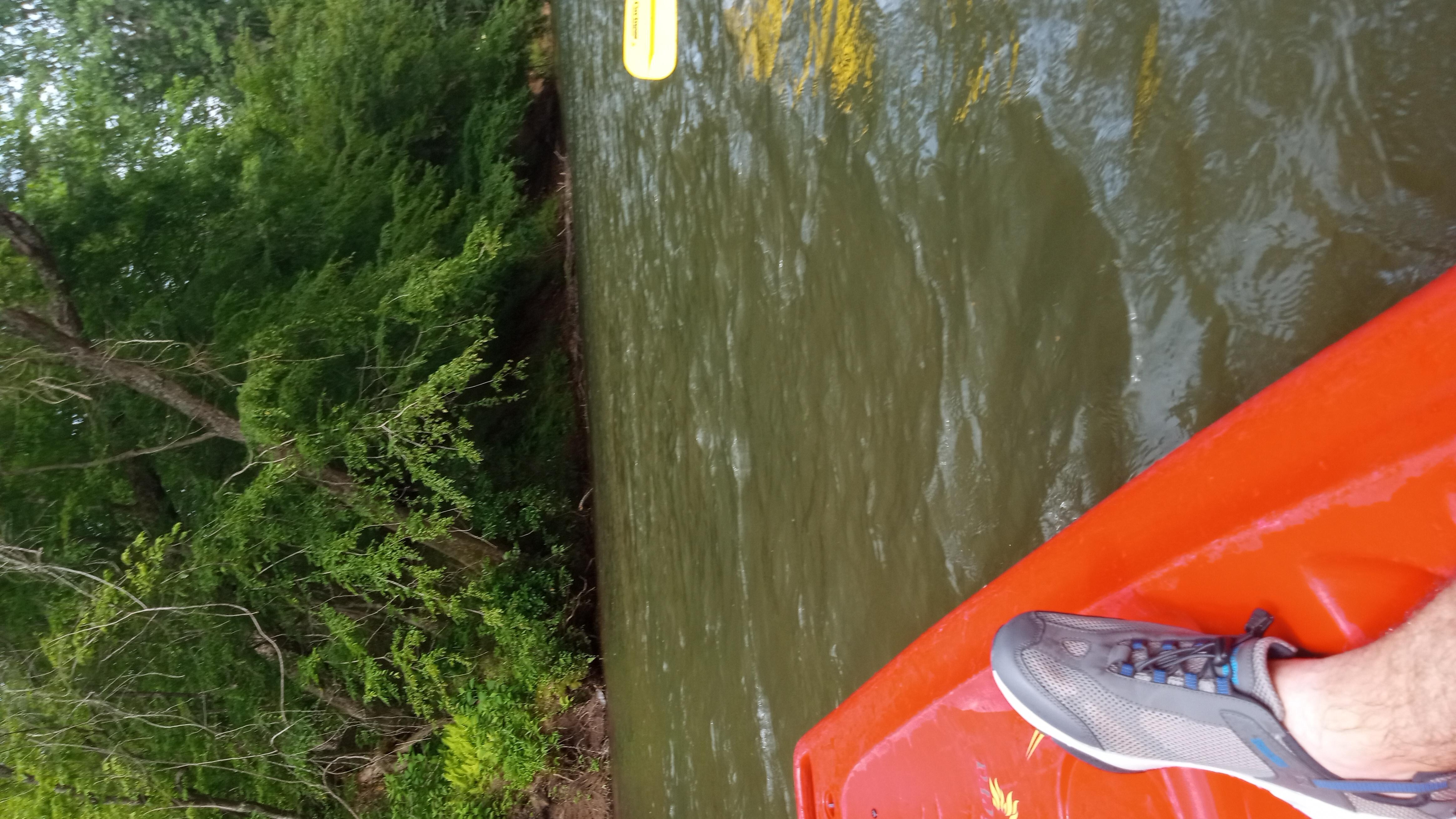 Chestatee River Kayaking