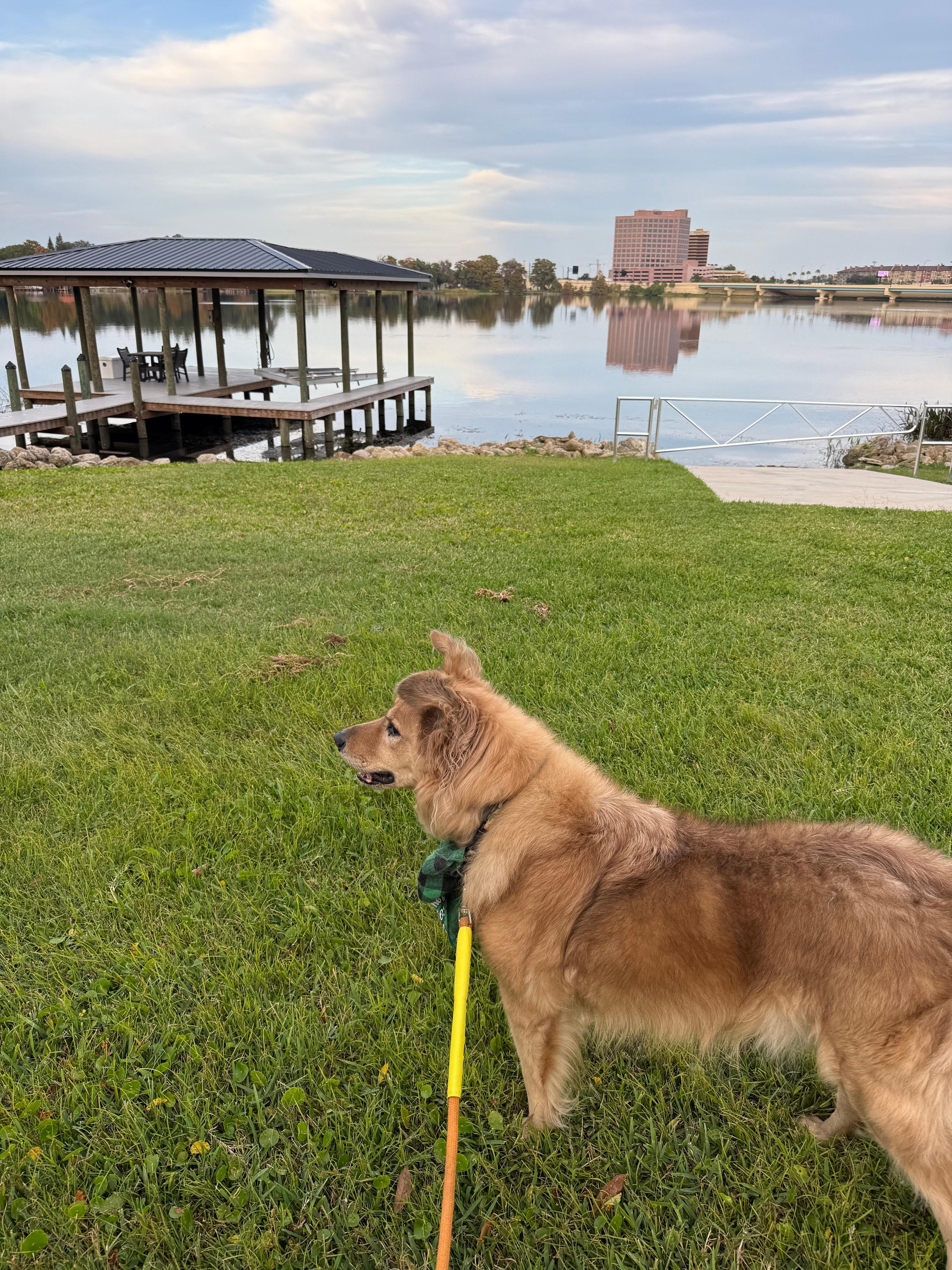 Lovely lake very close by