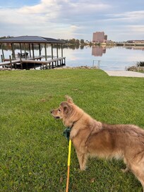 Lovely lake very close by