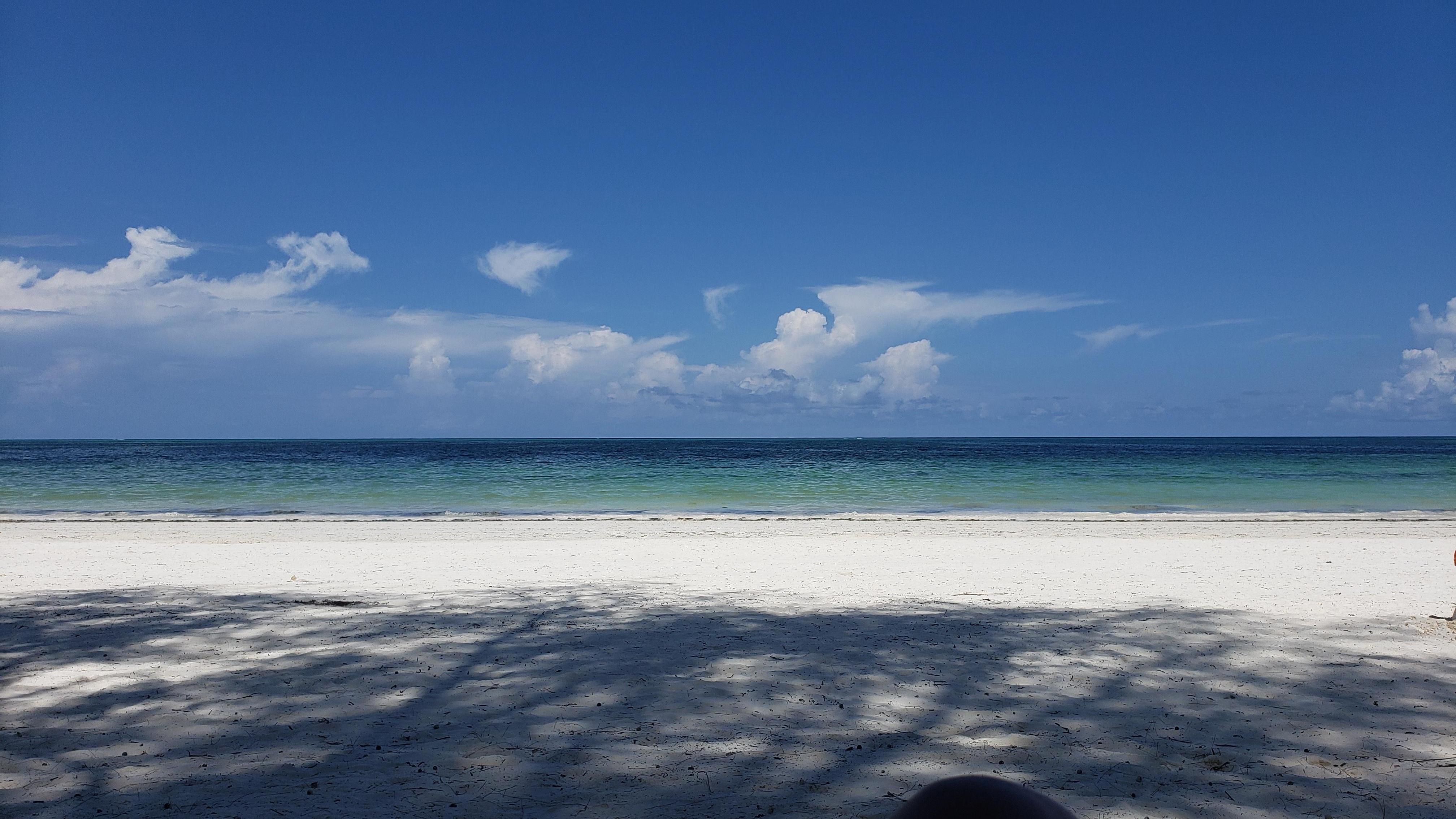 Beach view from hotel sunbeds