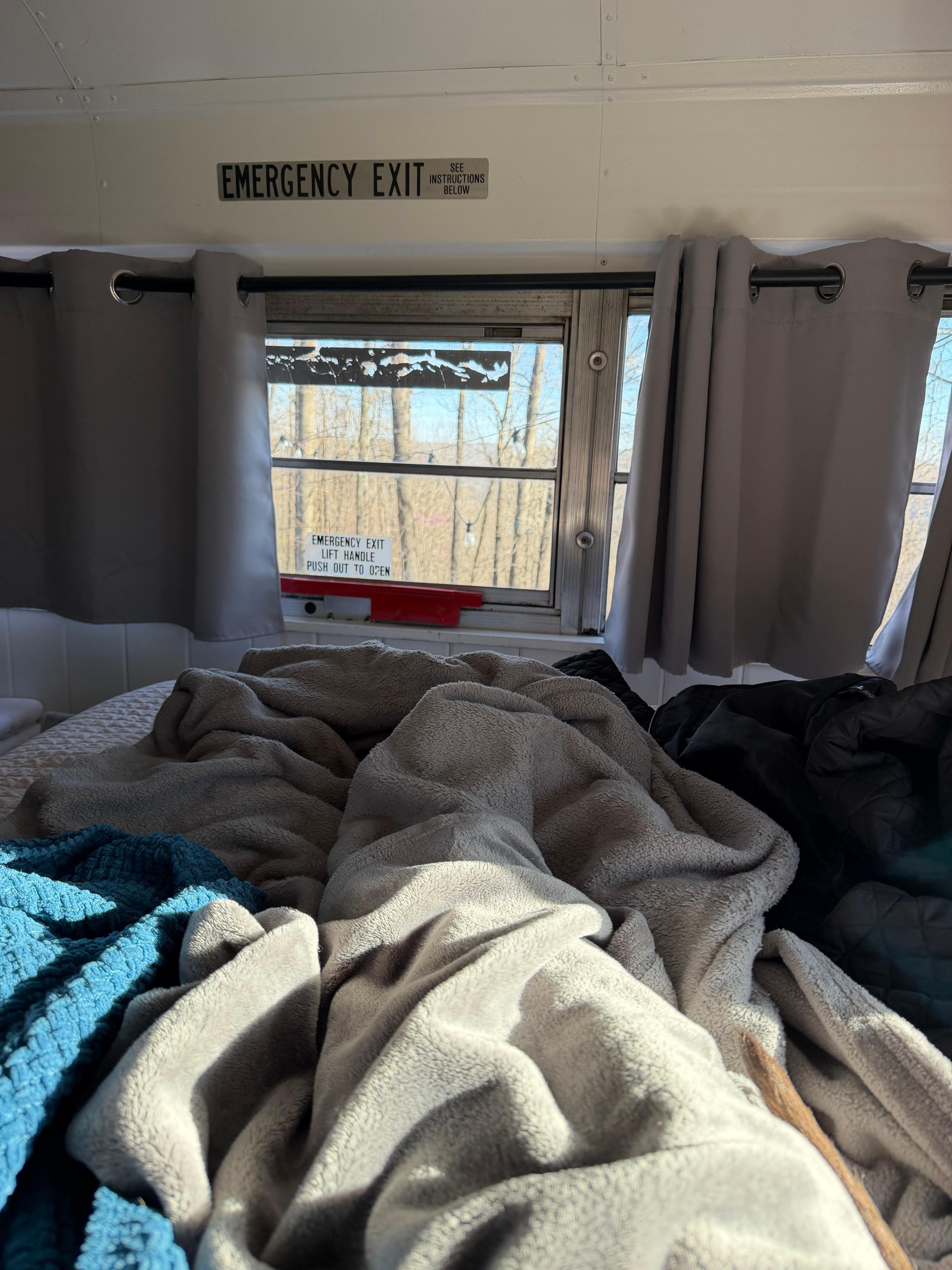 My dog loved being able to look out the bus windows!!!