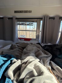 My dog loved being able to look out the bus windows!!!