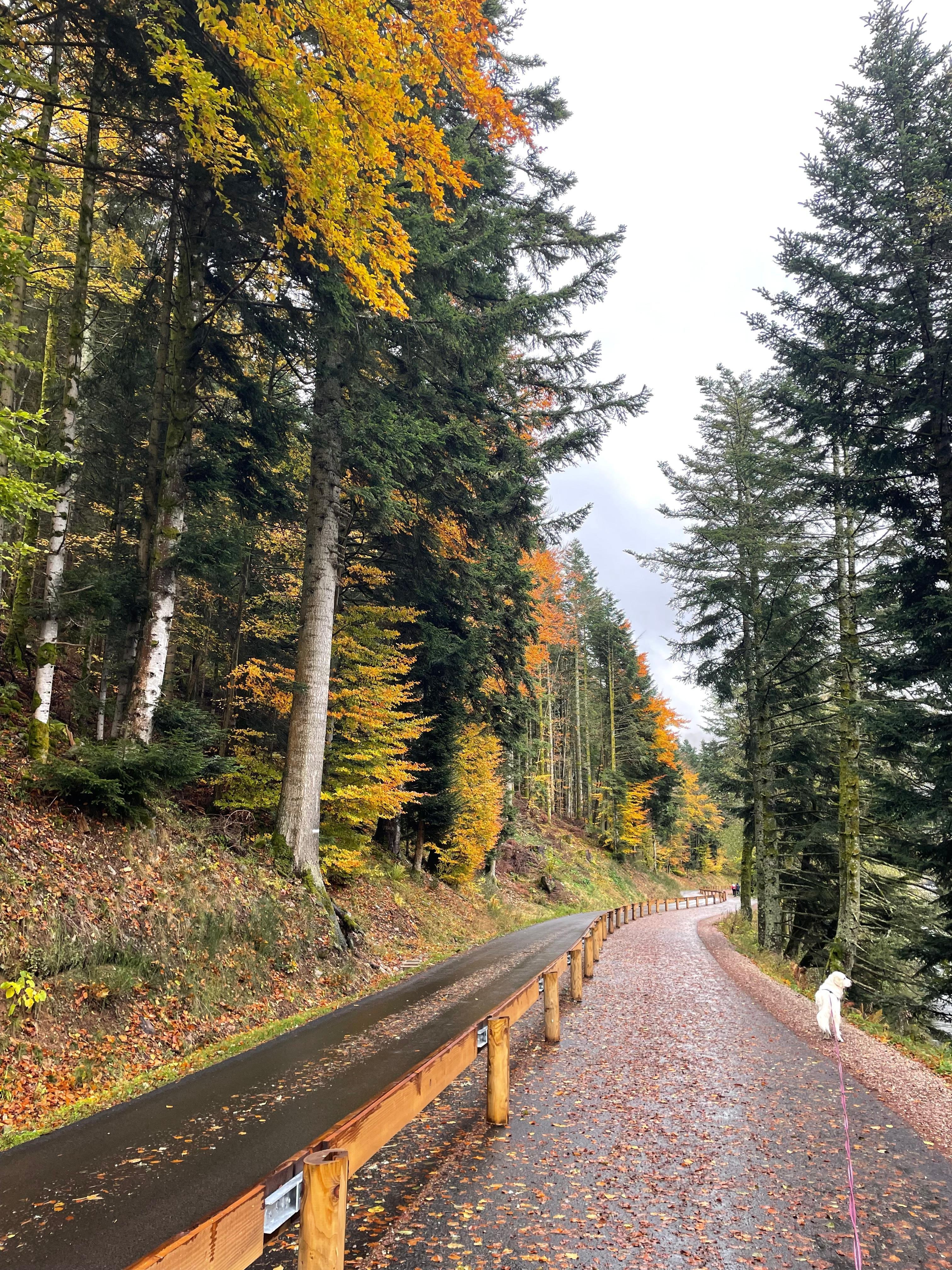 Tour du lac de Longemer