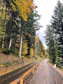 Tour du lac de Longemer