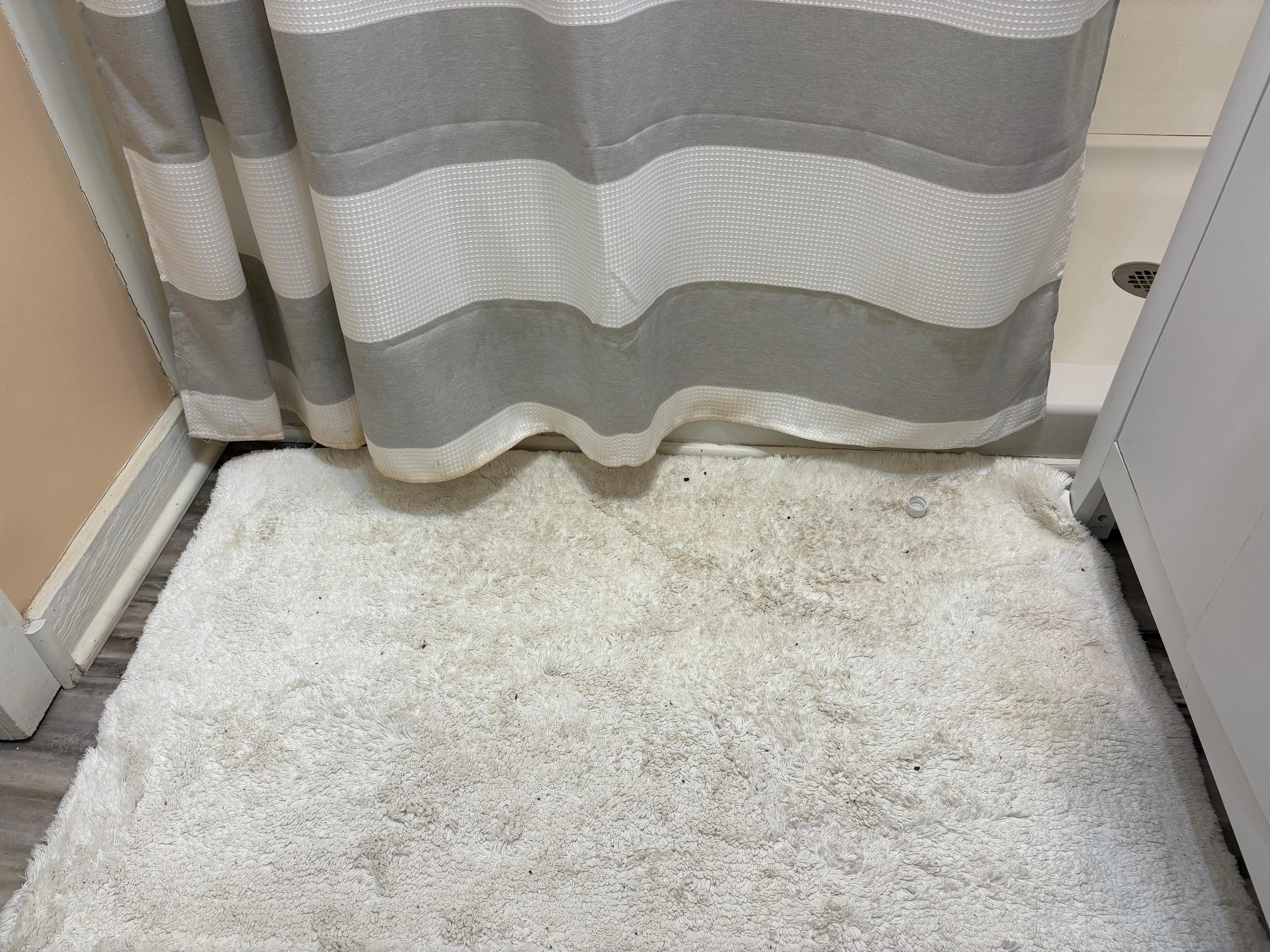 Bathrooms were generally grimy and well worn even the rugs and shower curtains