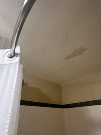 Ceiling mold