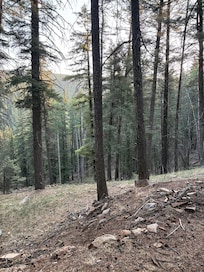 Photo of the view below the cabin