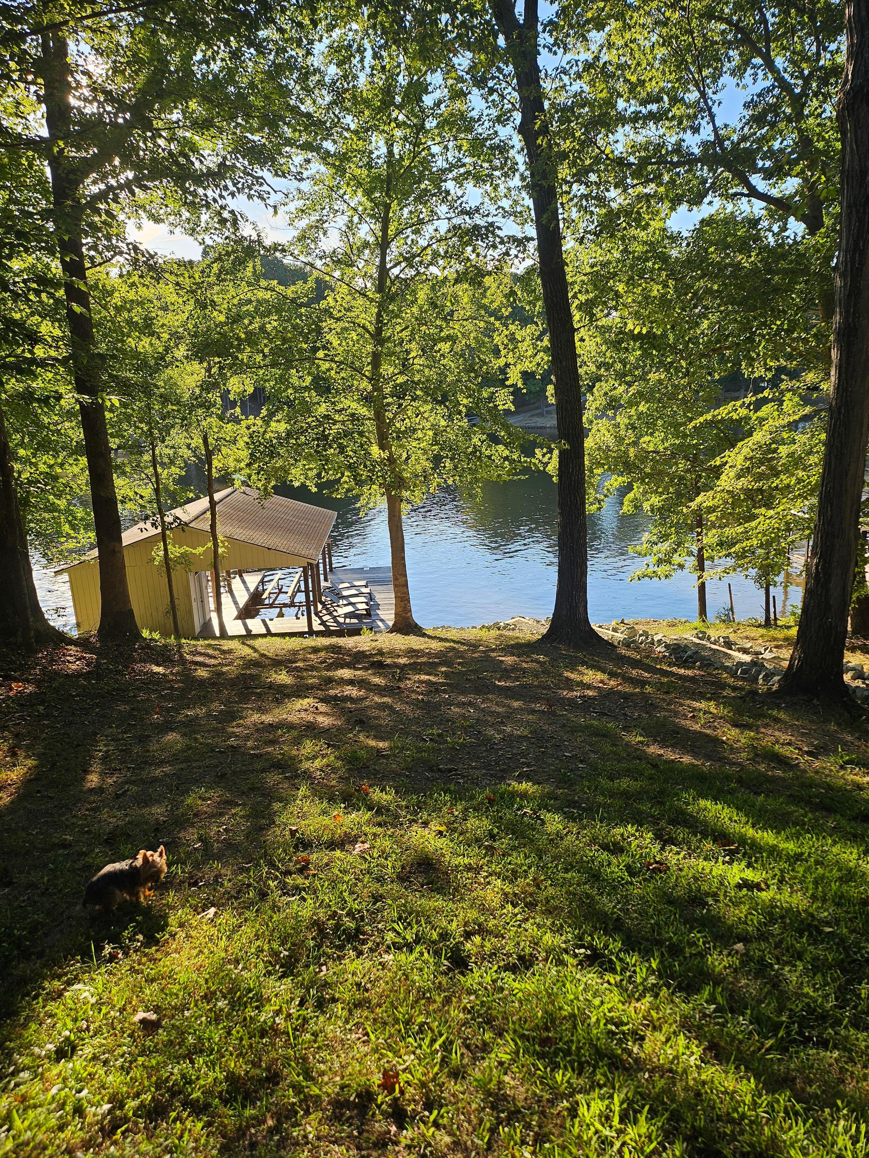 Couldnt wait to get down the hill