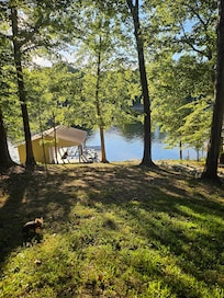 Couldnt wait to get down the hill