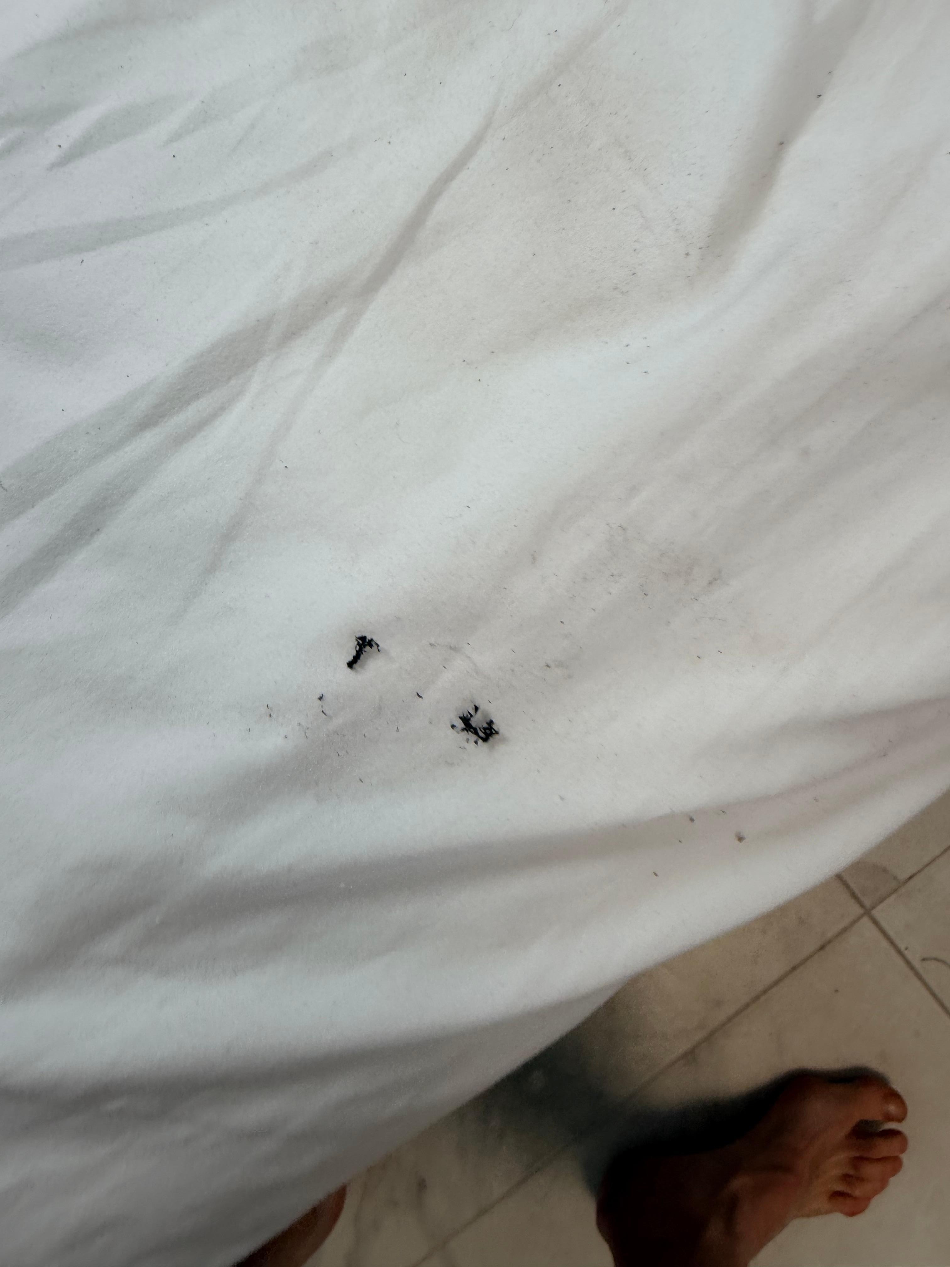 More lashes in the bed