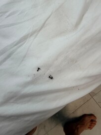 More lashes in the bed